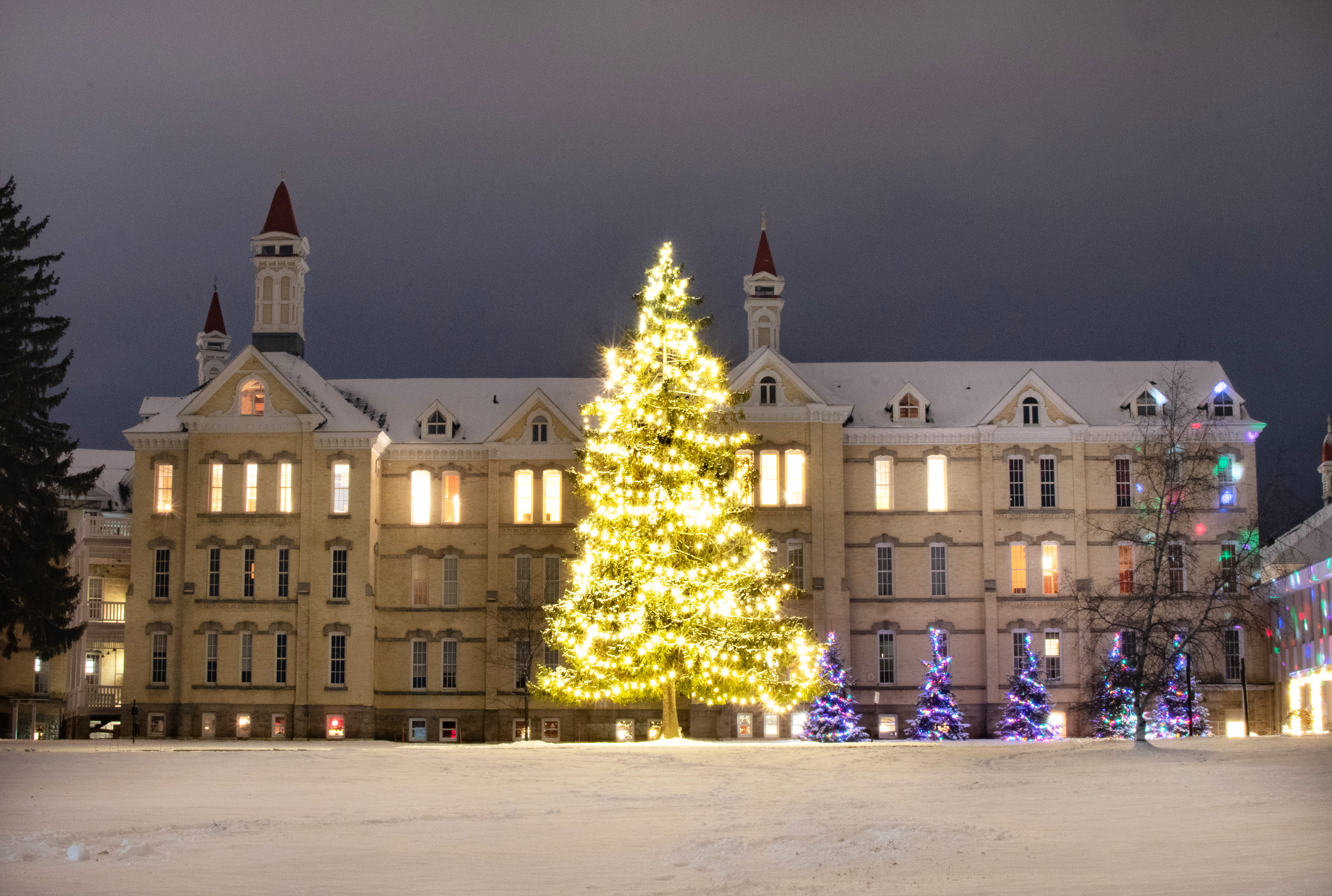 building exterior, concrete, michigan state hospital, lighted, trees, architecture, white, fir, winter, 4K, nature, building, michigan, religion, celebration, HD Wallpaper