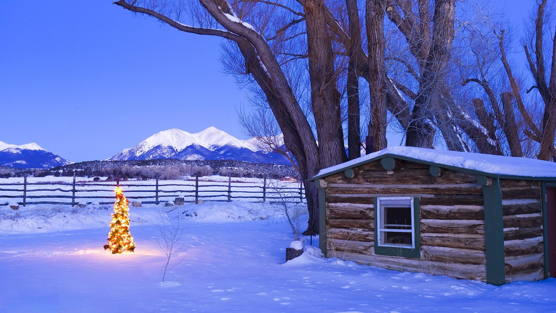 new year, house, lights, cabin in the forest, winter, christmas tree, sky, forest, show, celebration, mount, 1080P, HD Wallpaper