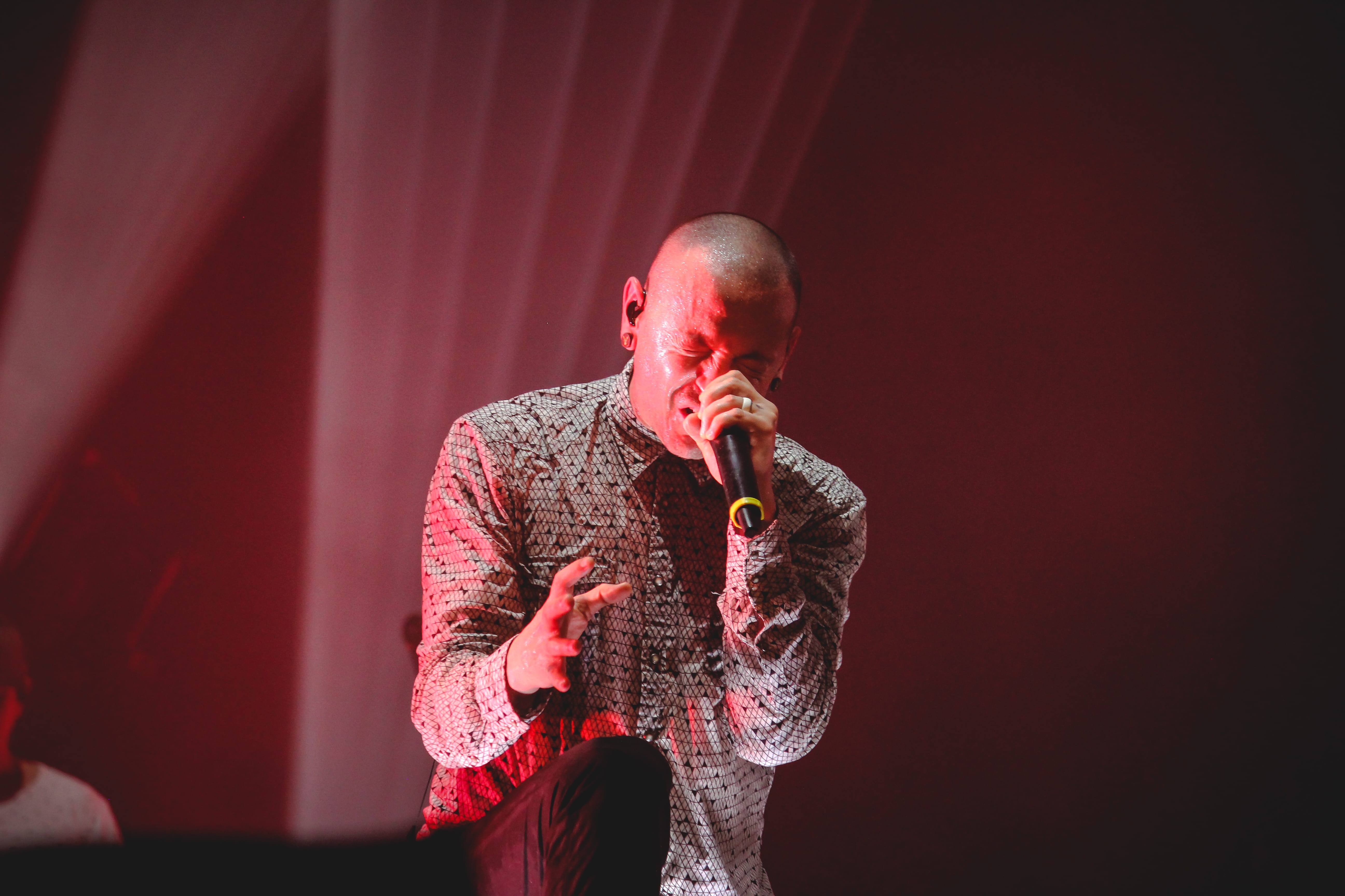 men, mature adult, performance, input device, red, facial expression, show, chester, musician, hair loss, musicians, bennington, copy space, man, microphone, HD Wallpaper