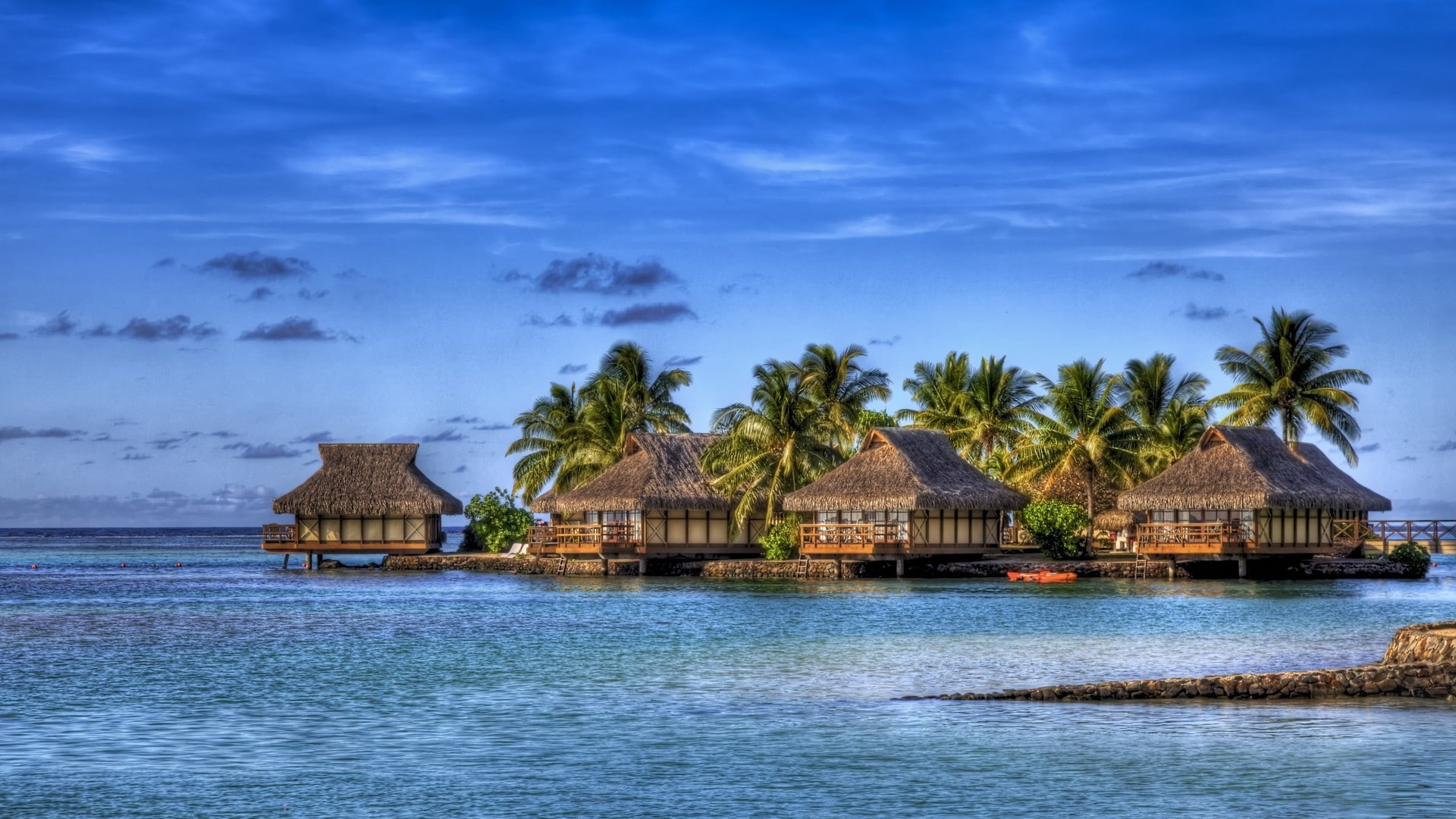1080P, HDR, sea, palm trees, HD Wallpaper