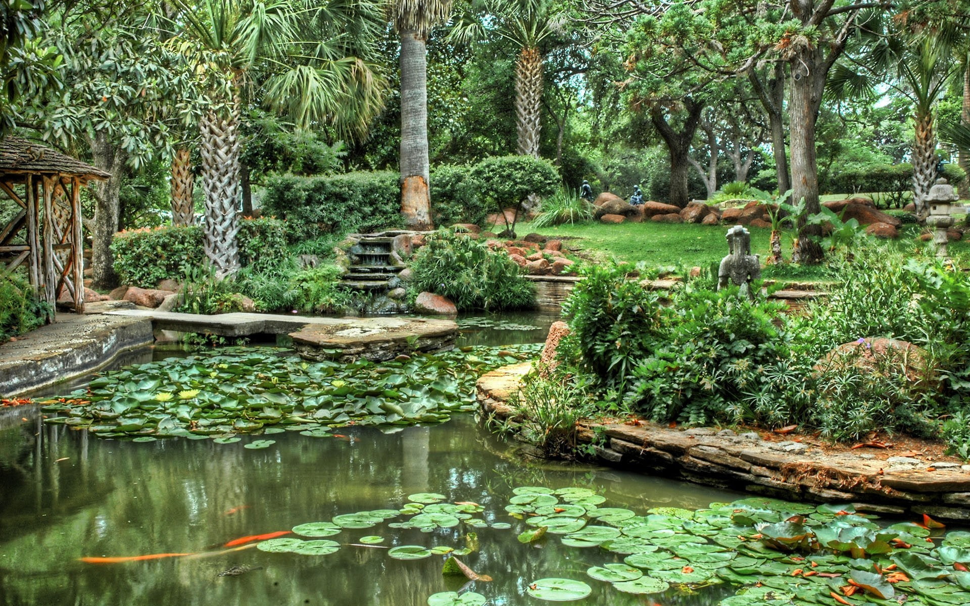 water, floating on water, plant part, beauty in nature, tranquility, outdoors, waterfront, no people, plant, leaf, growth, HDR, scenics - nature, floating, HD Wallpaper