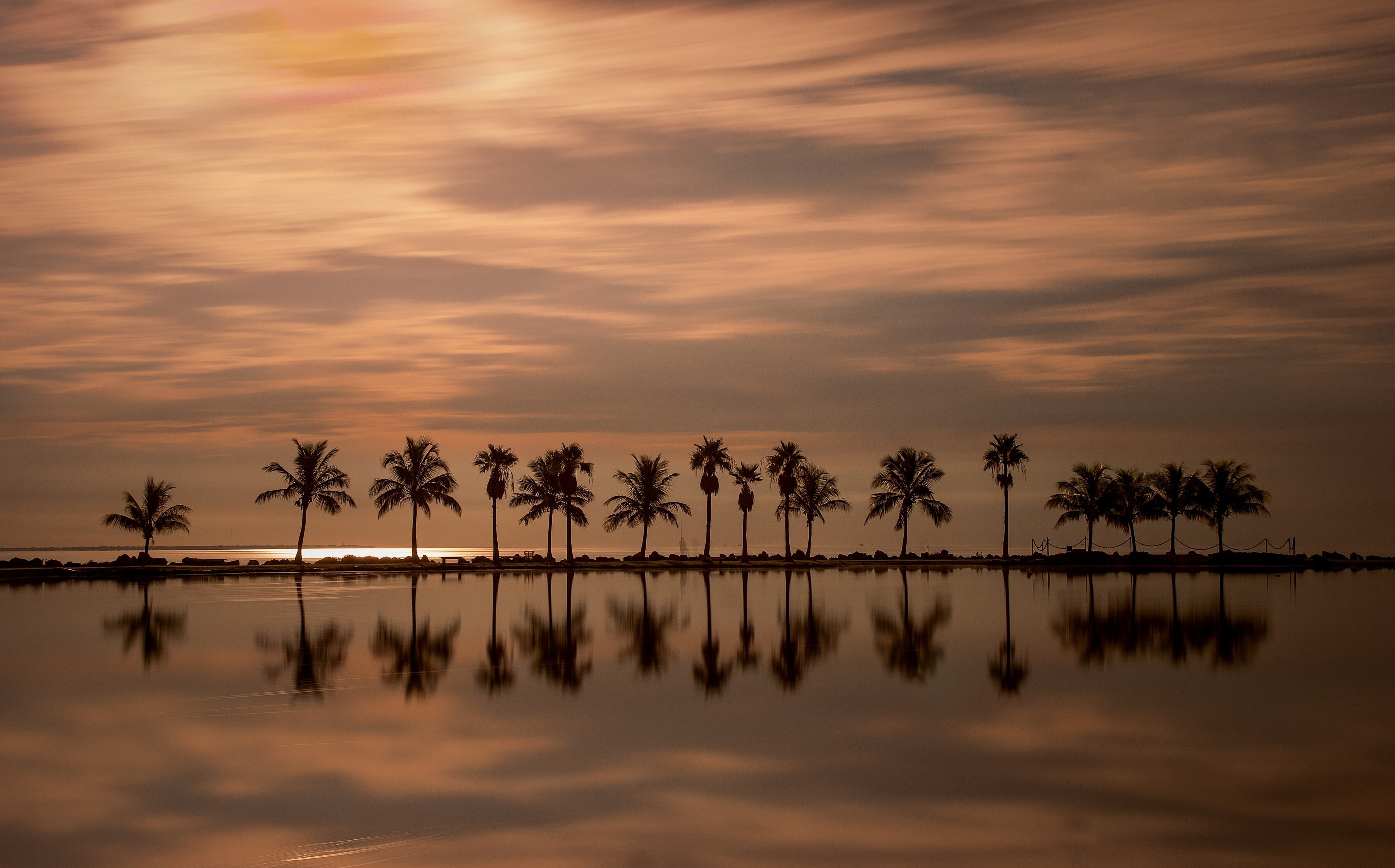 Florida, 2K, palm trees, HD Wallpaper