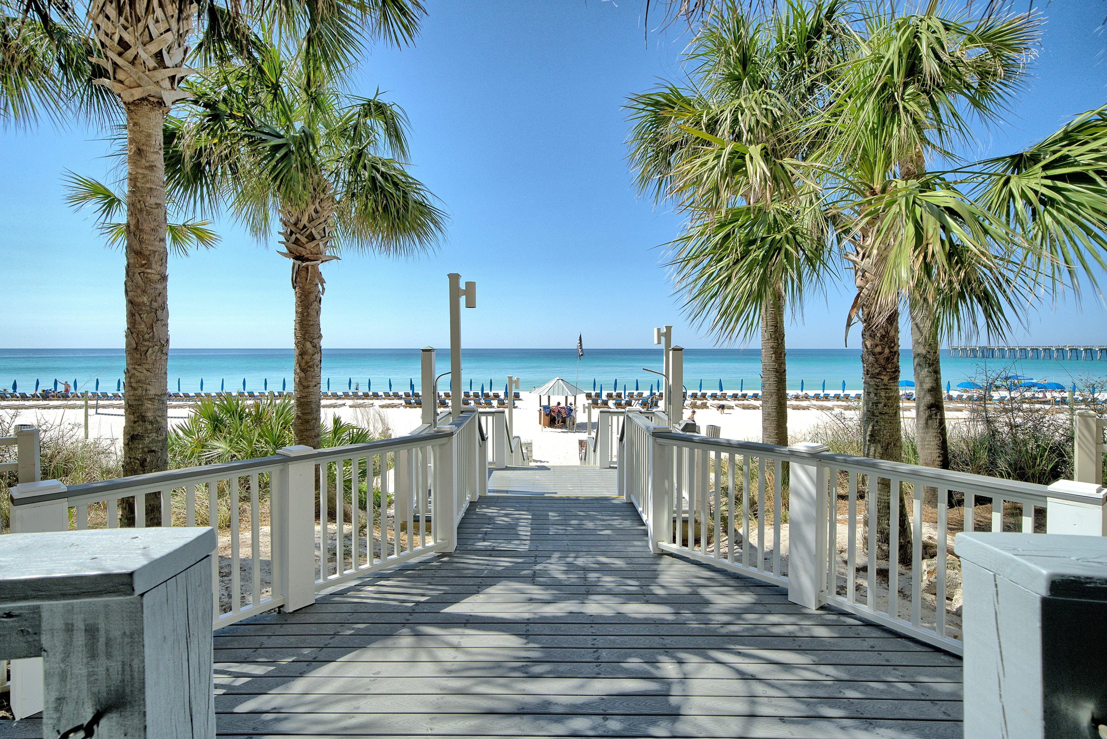 tropical climate, horizon, tranquility, water, tree, tranquil scene, panama city beach, the way forward, beach, panamacity, sea, sunlight, footpath, plant, HD Wallpaper