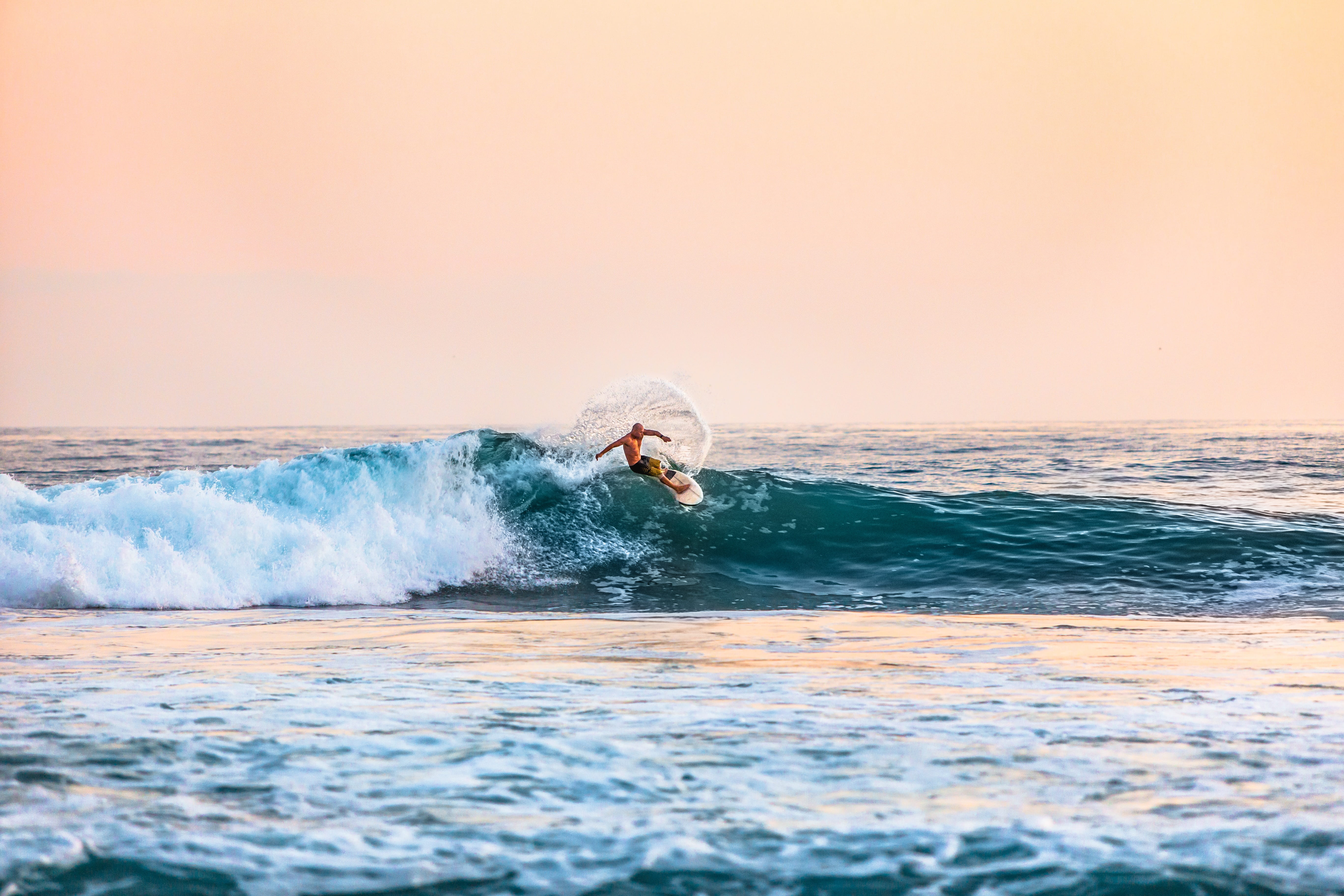 horizon over water, nature, action, 5K, lifestyles, one Person, sunset, aquatic sport, motion, horizon, speed, one animal, surfing, daytime, summer, sea, HD Wallpaper