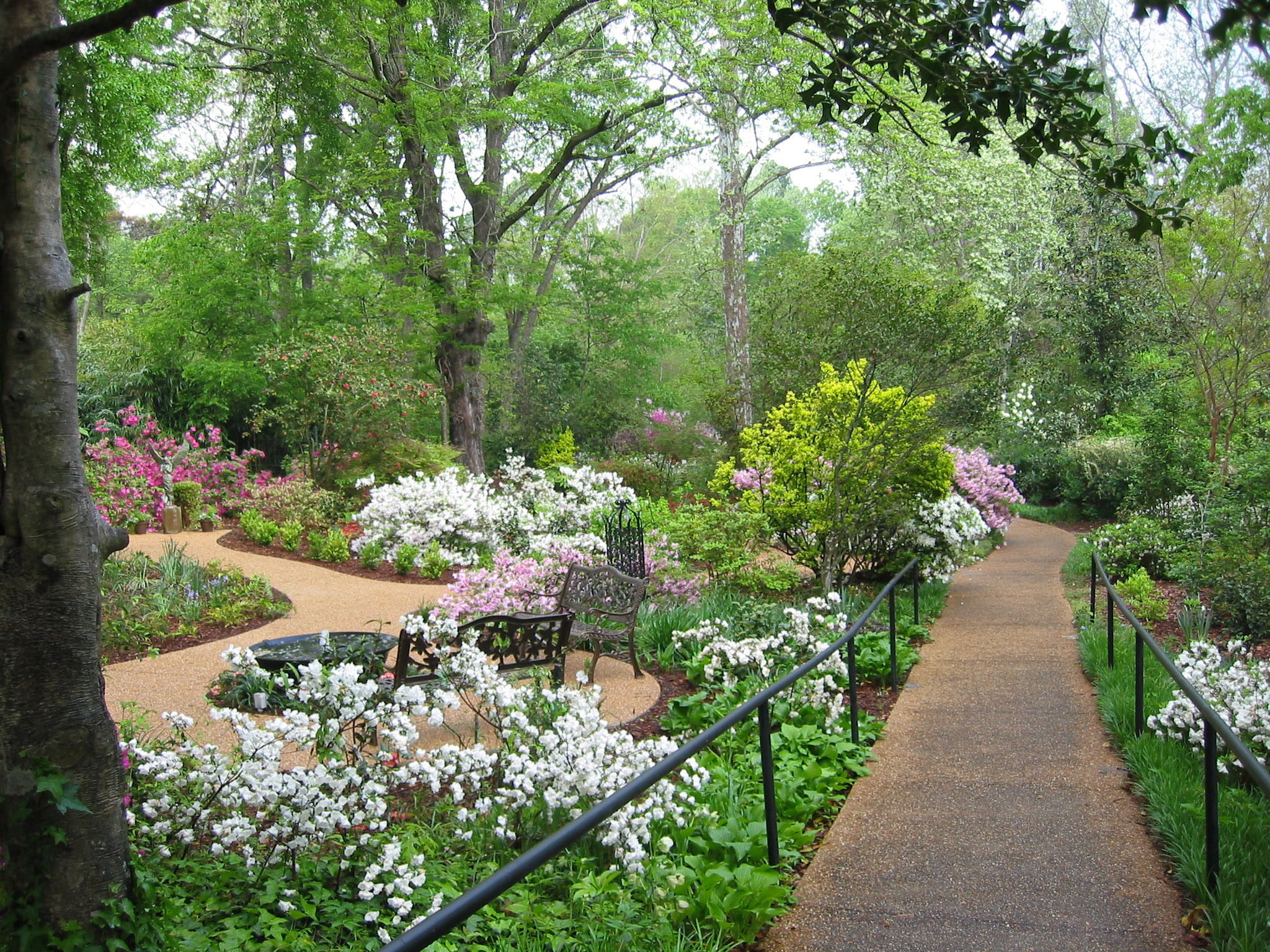 nature, Jackson, outdoors, jackson, green Color, flowering plant, direction, public domain, mynelle gardens, flowerbed, plants, tree, growth, flowers, springtime, HD Wallpaper