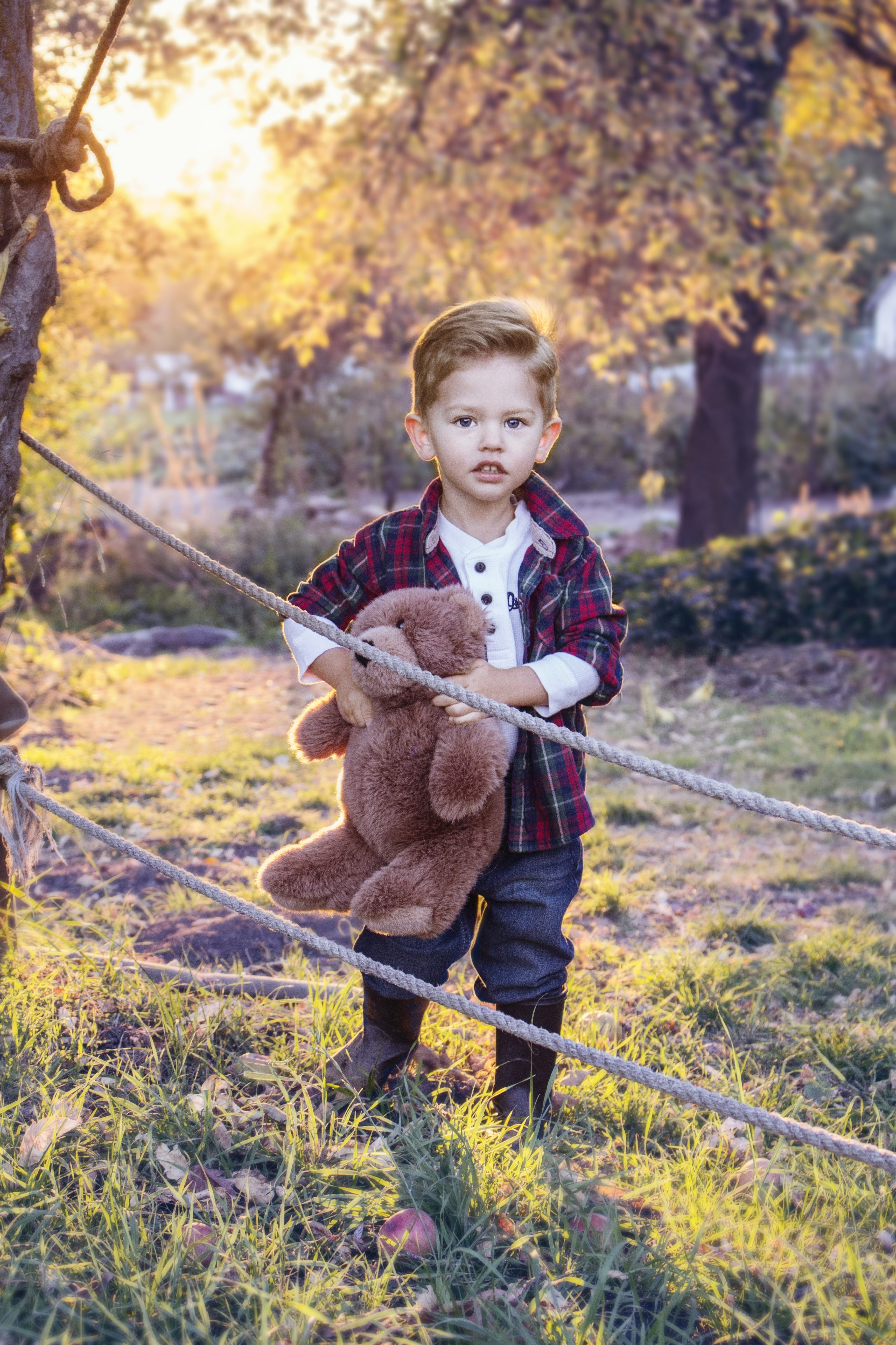 child, teddy bear, autumn, change, childhood, leisure activity, brown, outdoors, real people, happiness, boys, tree, children only, toddler, cute, rope, Phone HD Wallpaper
