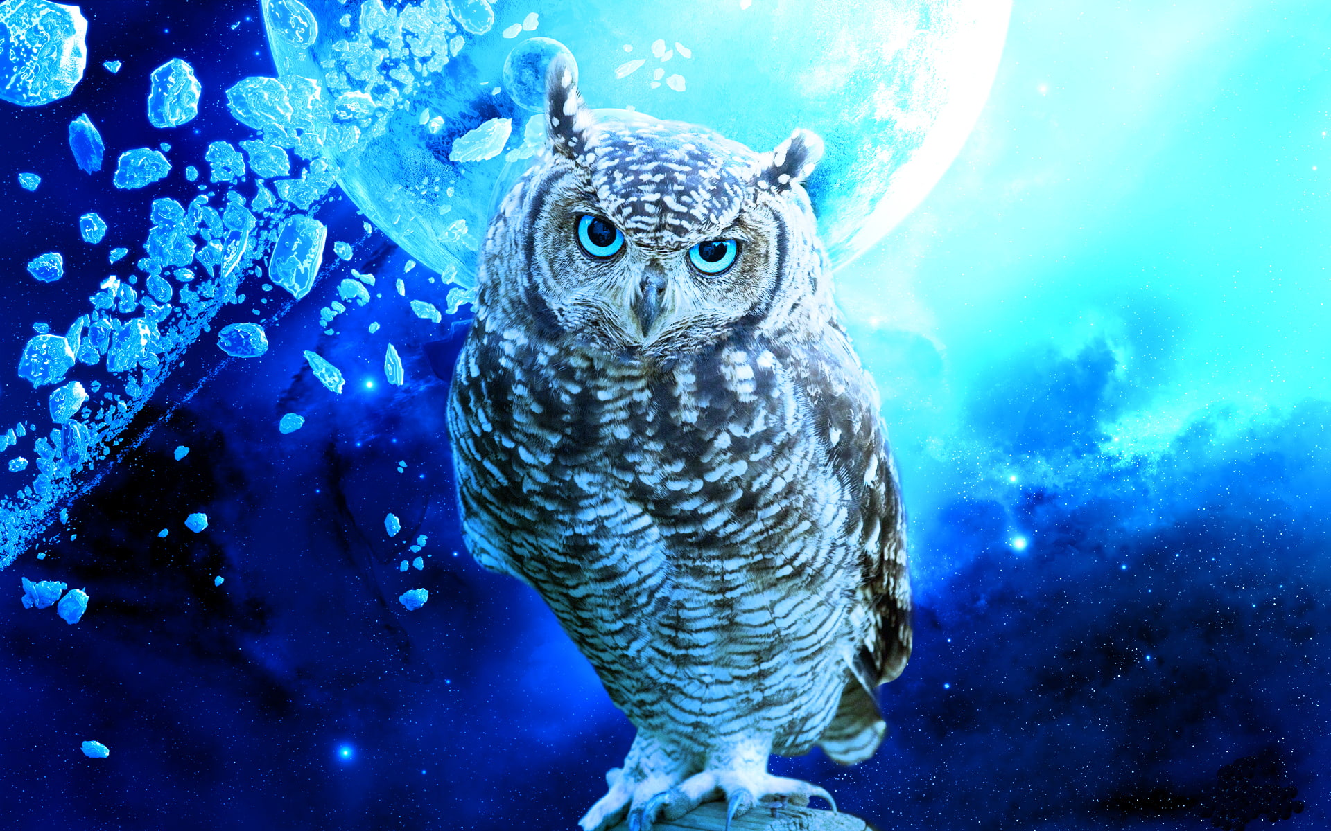 stars, owl, 1080P, debris, hd, animals, blue, bird, planet, HD Wallpaper