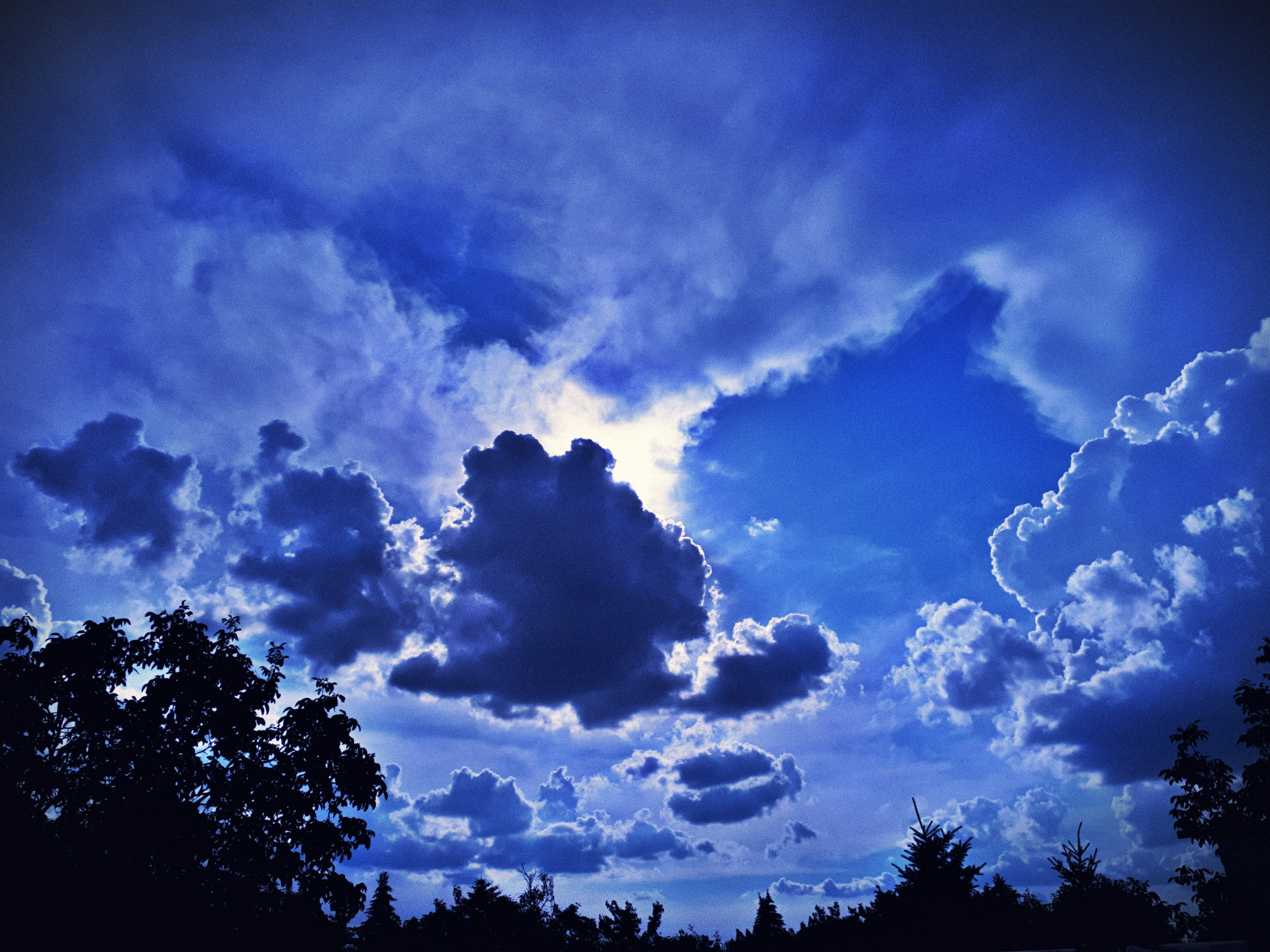 blue, trees, clouds, tree, idyllic, silhouette, beauty in nature, scenics - nature, tranquility, 4K, dramatic sky, day, plant, sky, no people, outdoors, HD Wallpaper