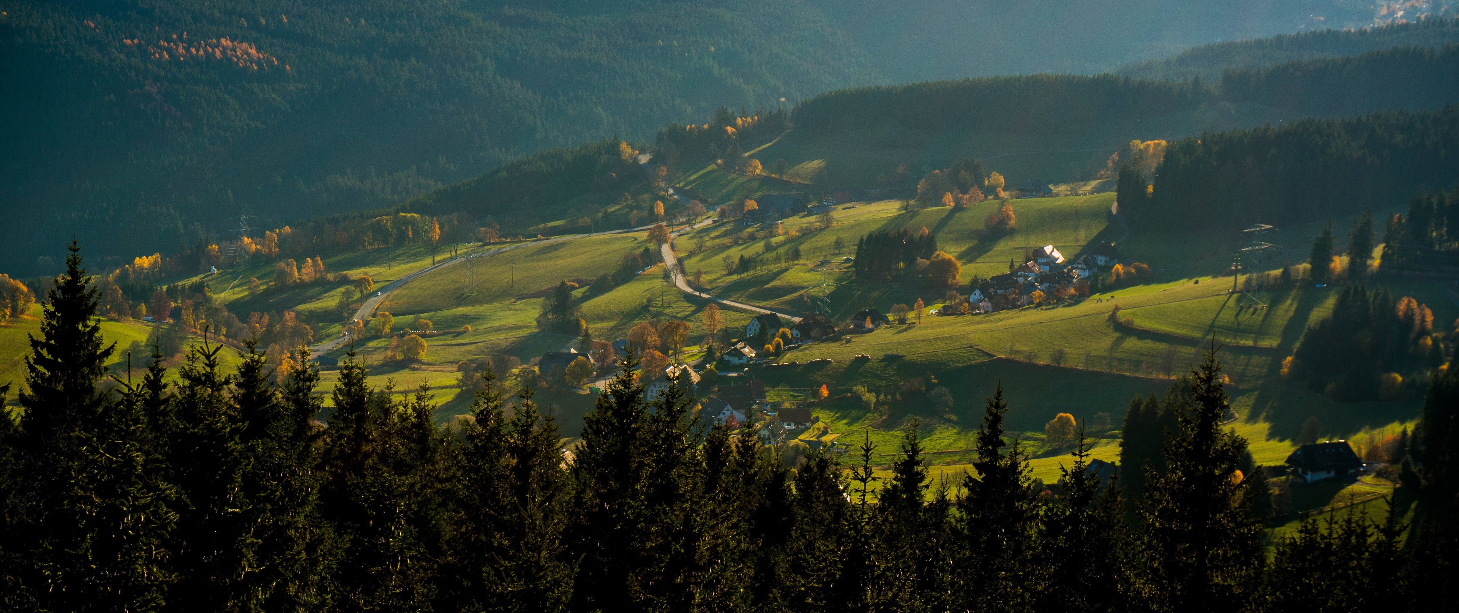 rolling landscape, no people, conifer, building, hinterzarten, agriculture, field, plant, saiger height, nature, forests, beauty in nature, green color, HD Wallpaper