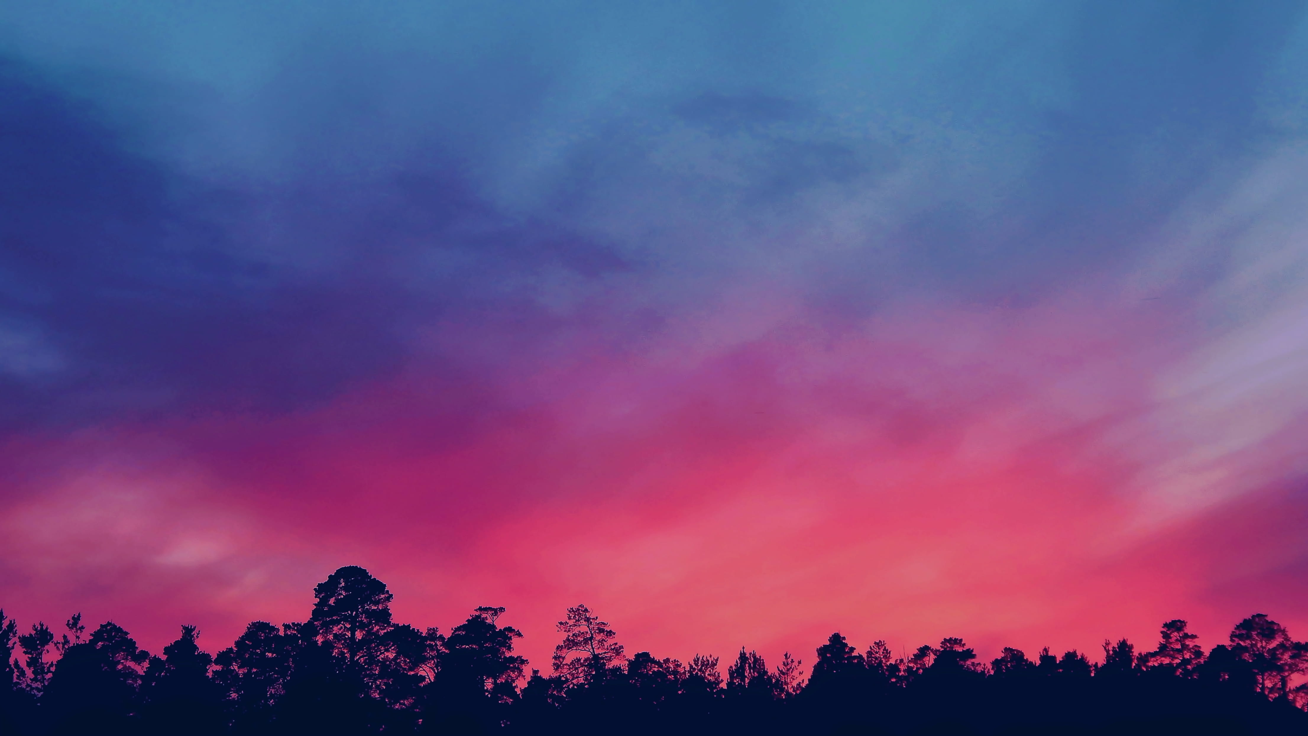 dark, idyllic, sky, color, golden, landscape, pine tree, scenics - nature, hour, environment, dusk, outdoors, tranquil scene, purple, dawn, HD Wallpaper