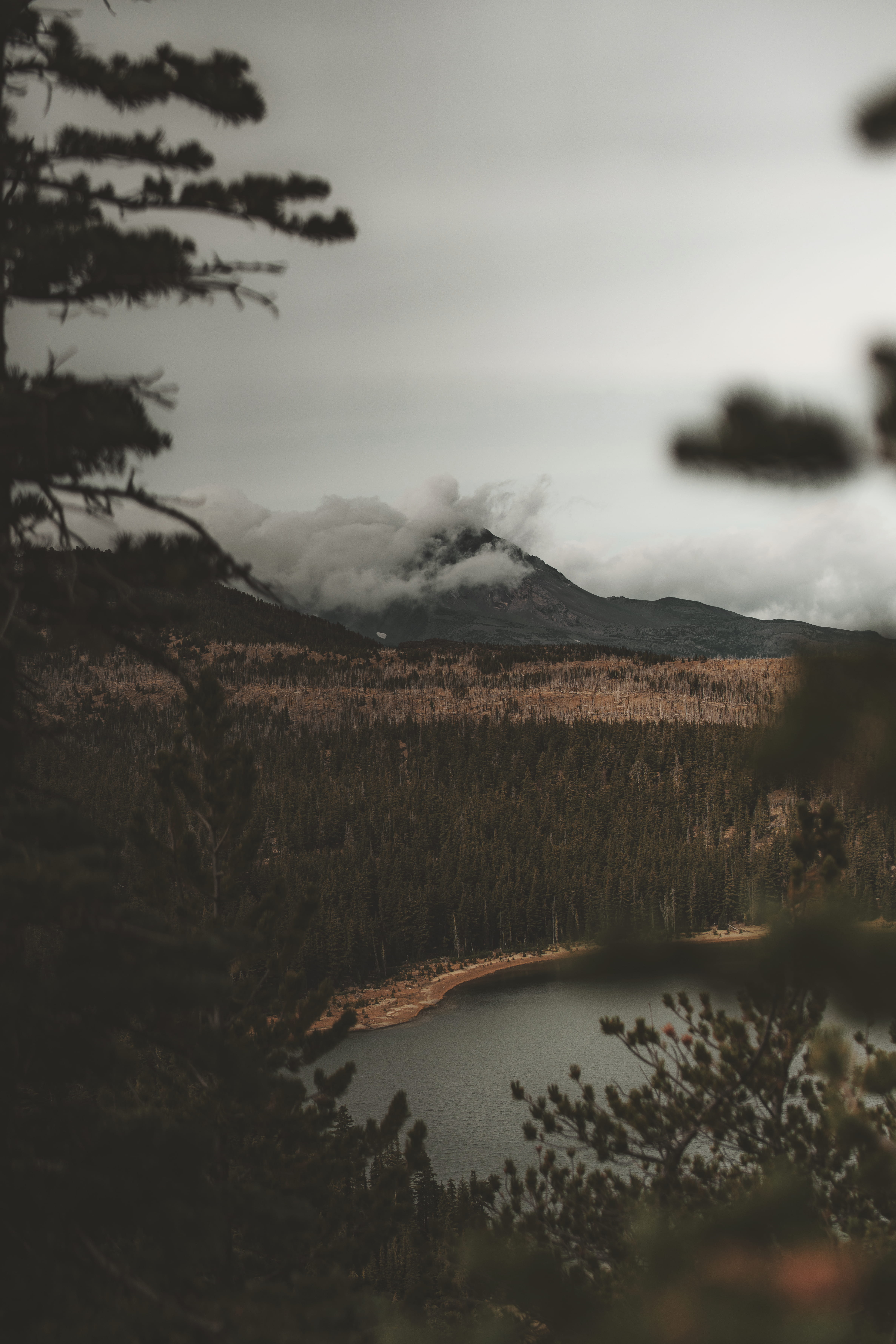 plant, lakeside, tree, 5K, treetop, mountain, cloud - sky, outdoor, water, tranquil scene, scenics - nature, nature, tones, lake, outdoors, Phone HD Wallpaper
