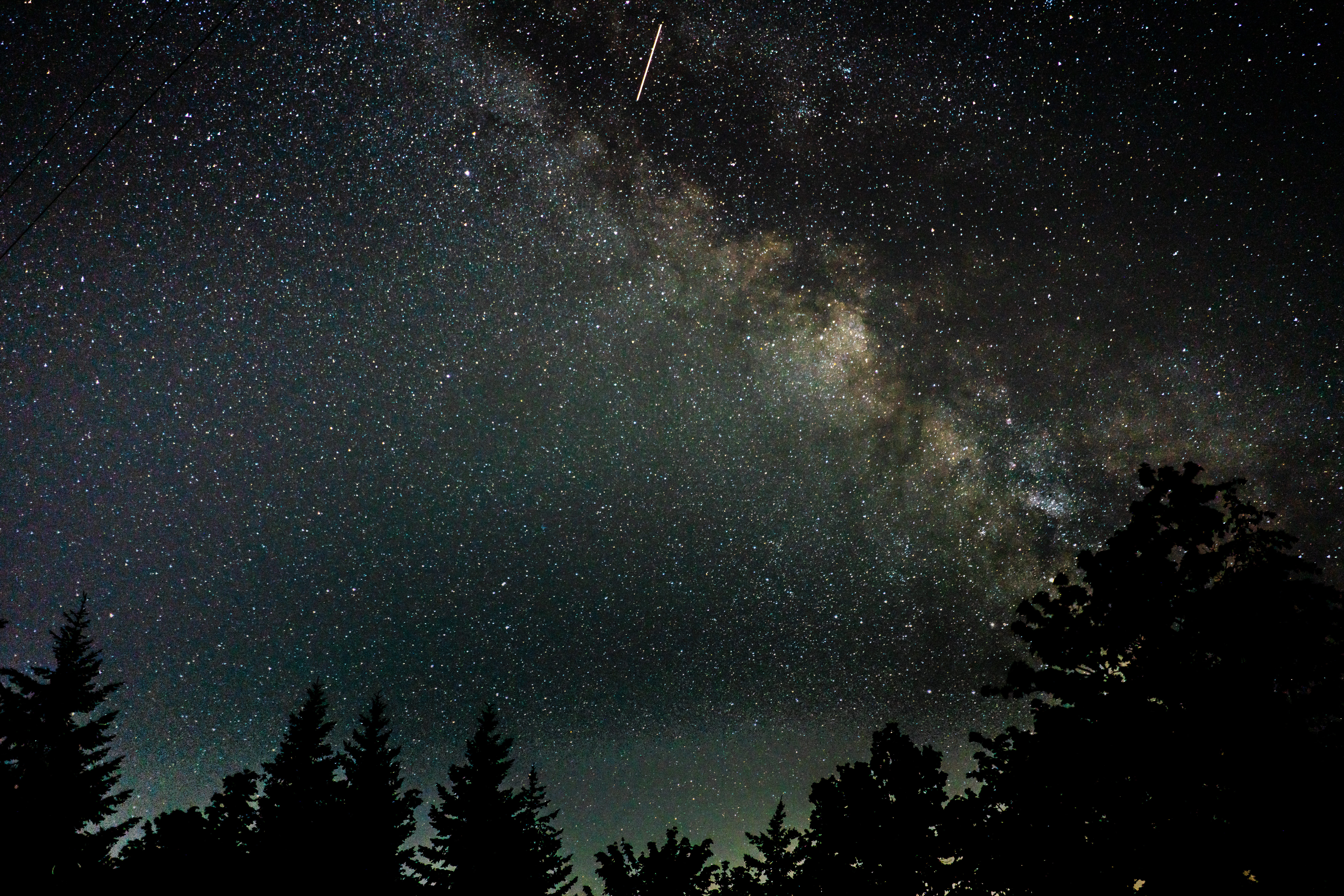 way, astronomy, astrology, nebula, illuminated, hiking, exploration, evergreen, lane, astrophotography, snow, mountain, space, treetop, dark, beauty In Nature, HD Wallpaper