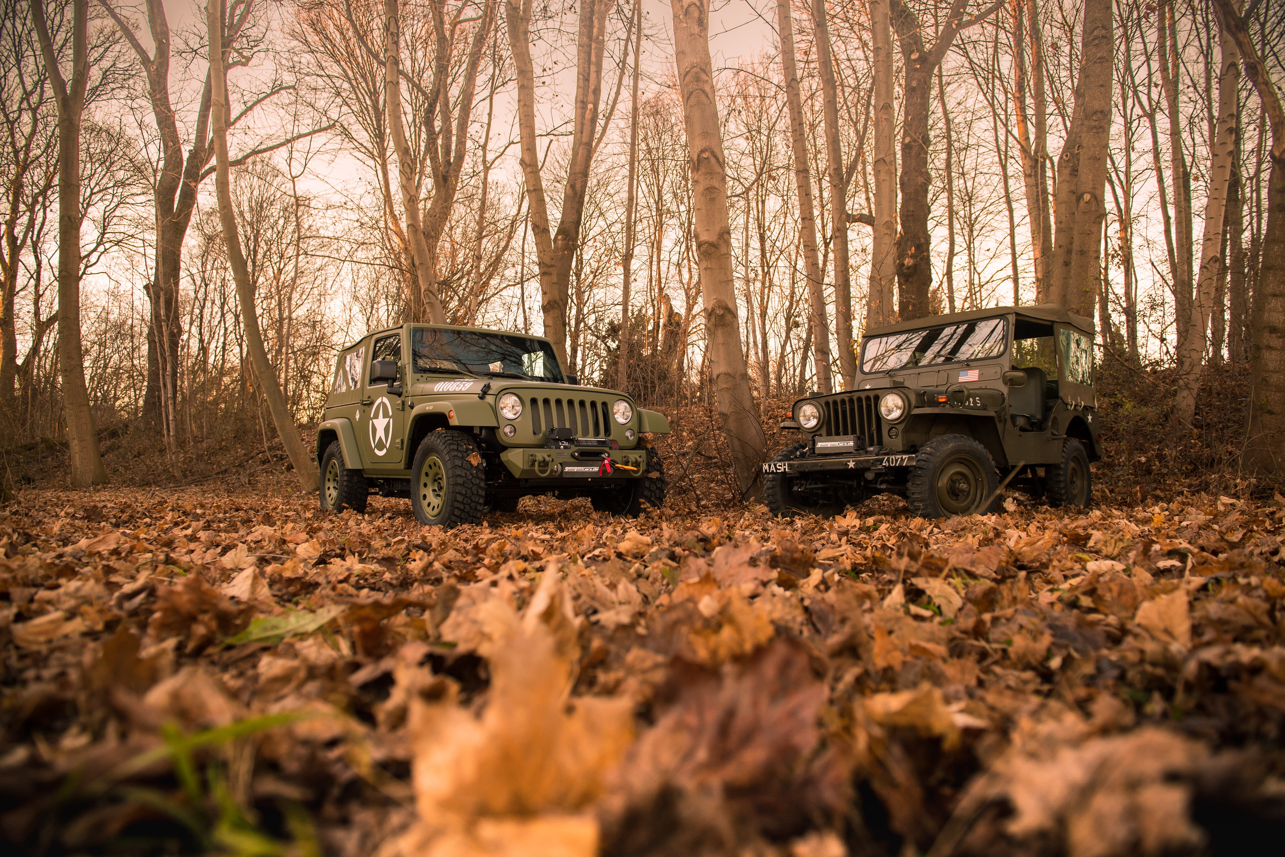 4x4, jeep, wrangler, tuning, 2017, military, (jk), 4K, geiger-willys, HD Wallpaper