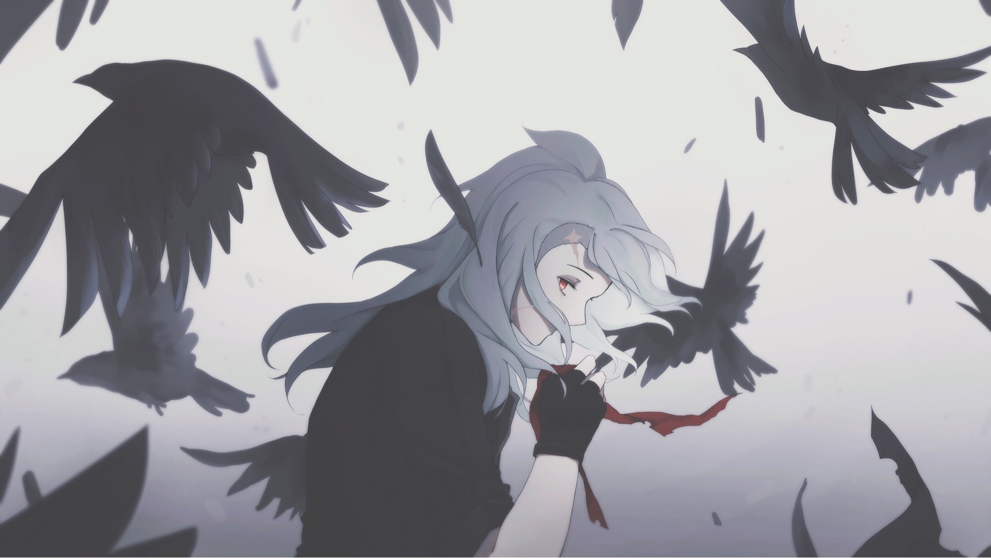 Anime, 1080P, Mikhail (Sirius the Jaeger), Sirius the Jaeger, HD Wallpaper