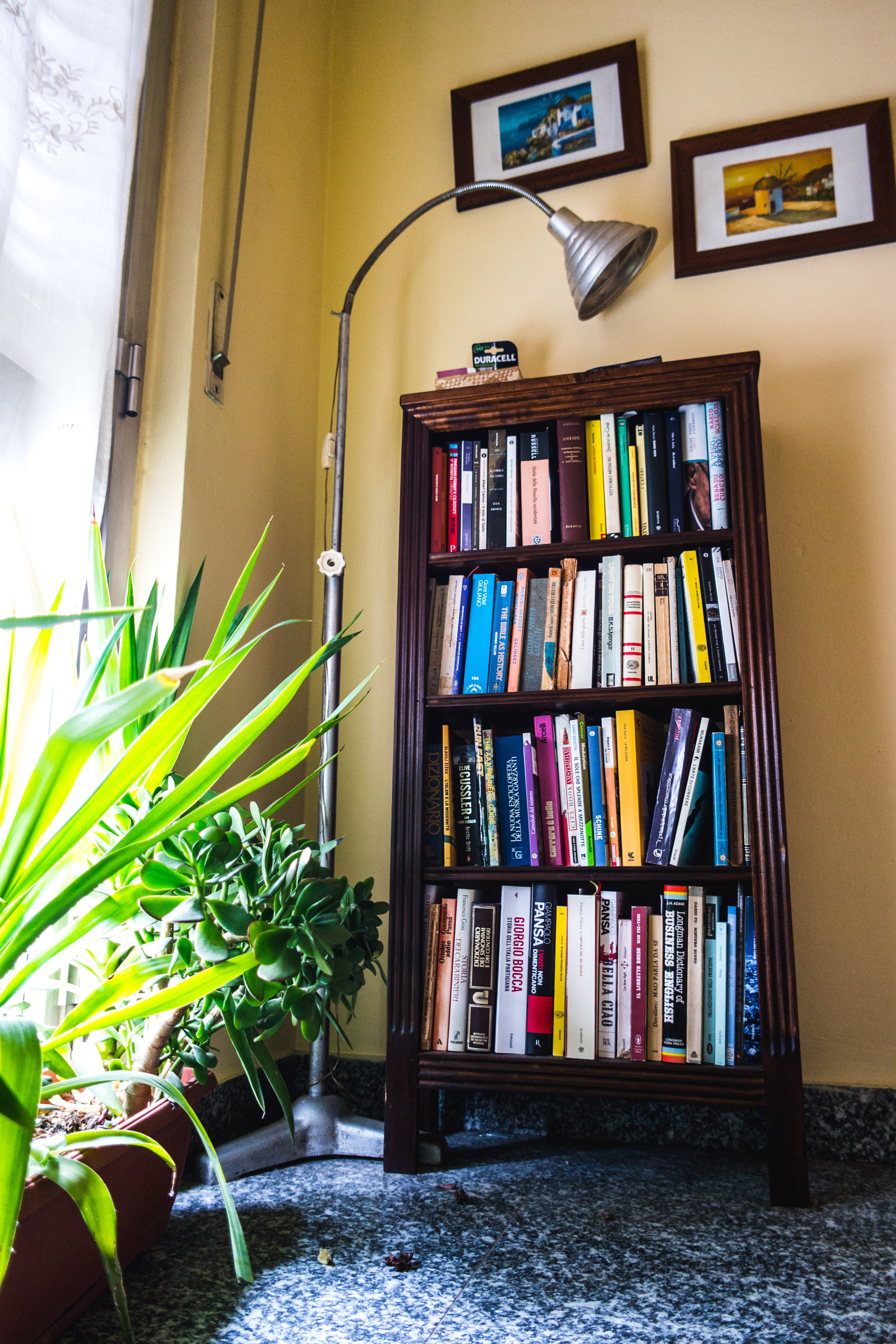 indoors, room, home interior, leaf, bookshelves, wall - building feature, built structure, day, domestic room, plant, decoration, shelf, music, no people, Phone HD Wallpaper