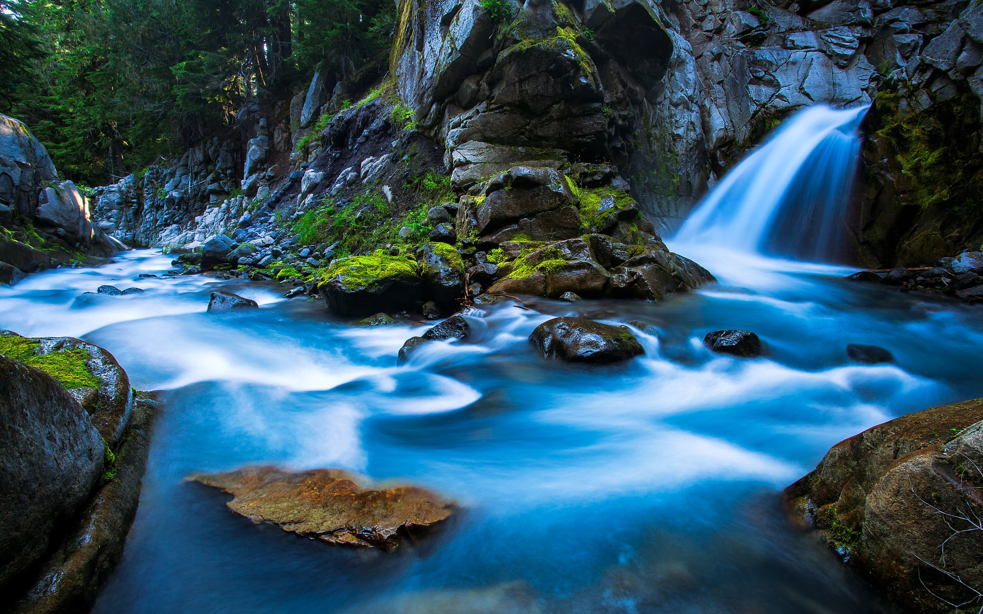 scenics - nature, blurred motion, rainforest, tree, falling water, solid, background pictures nature hd images 1920x1200, beauty in nature, flowing water, HD Wallpaper