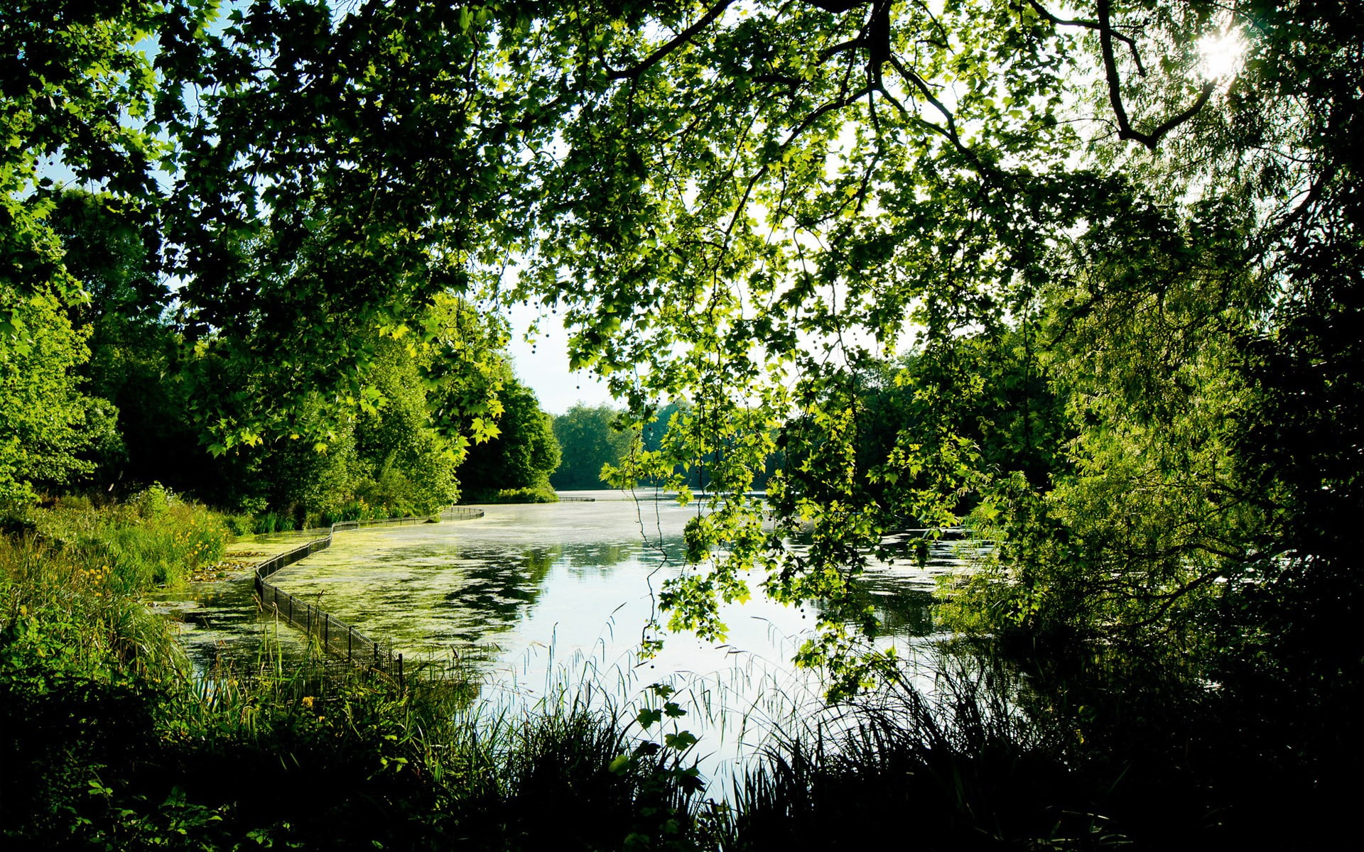 outdoors, lake, forest, 1080P, flowing water, scenics - nature, background pictures nature hd images 1920x1200, plant, reflection, tree, tranquility, water, HD Wallpaper