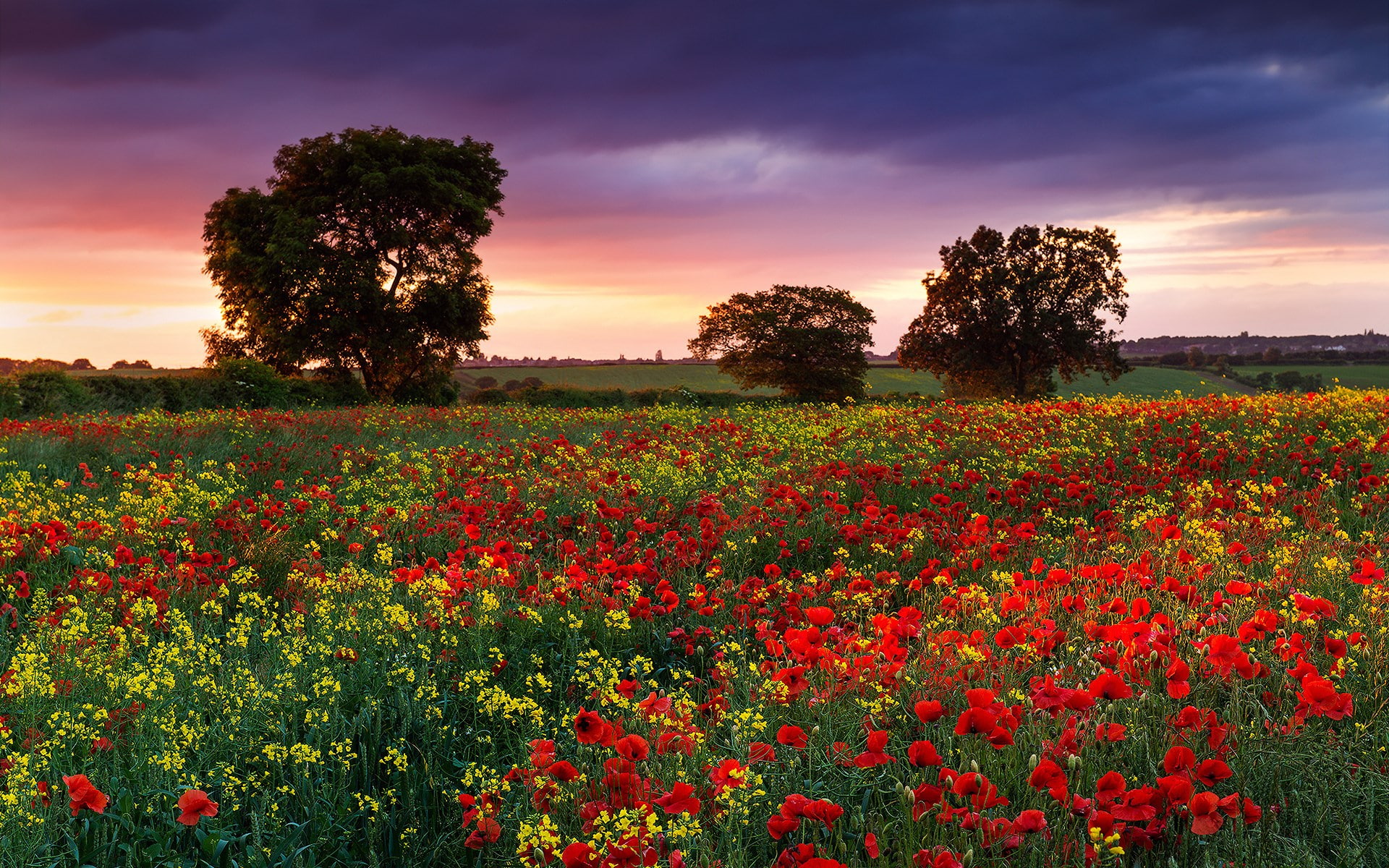 background pictures nature hd images 1920x1200, 1080P, HD Wallpaper