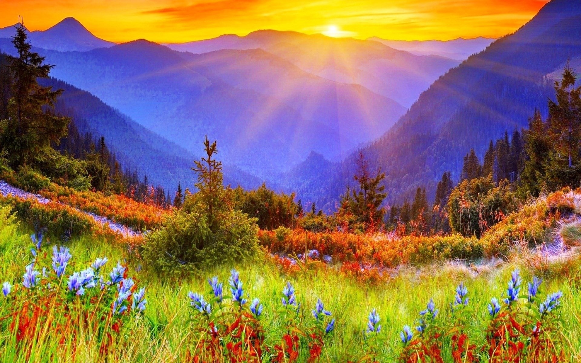 1080P, hi def nature backgrounds pictures 1920x1200, HD Wallpaper