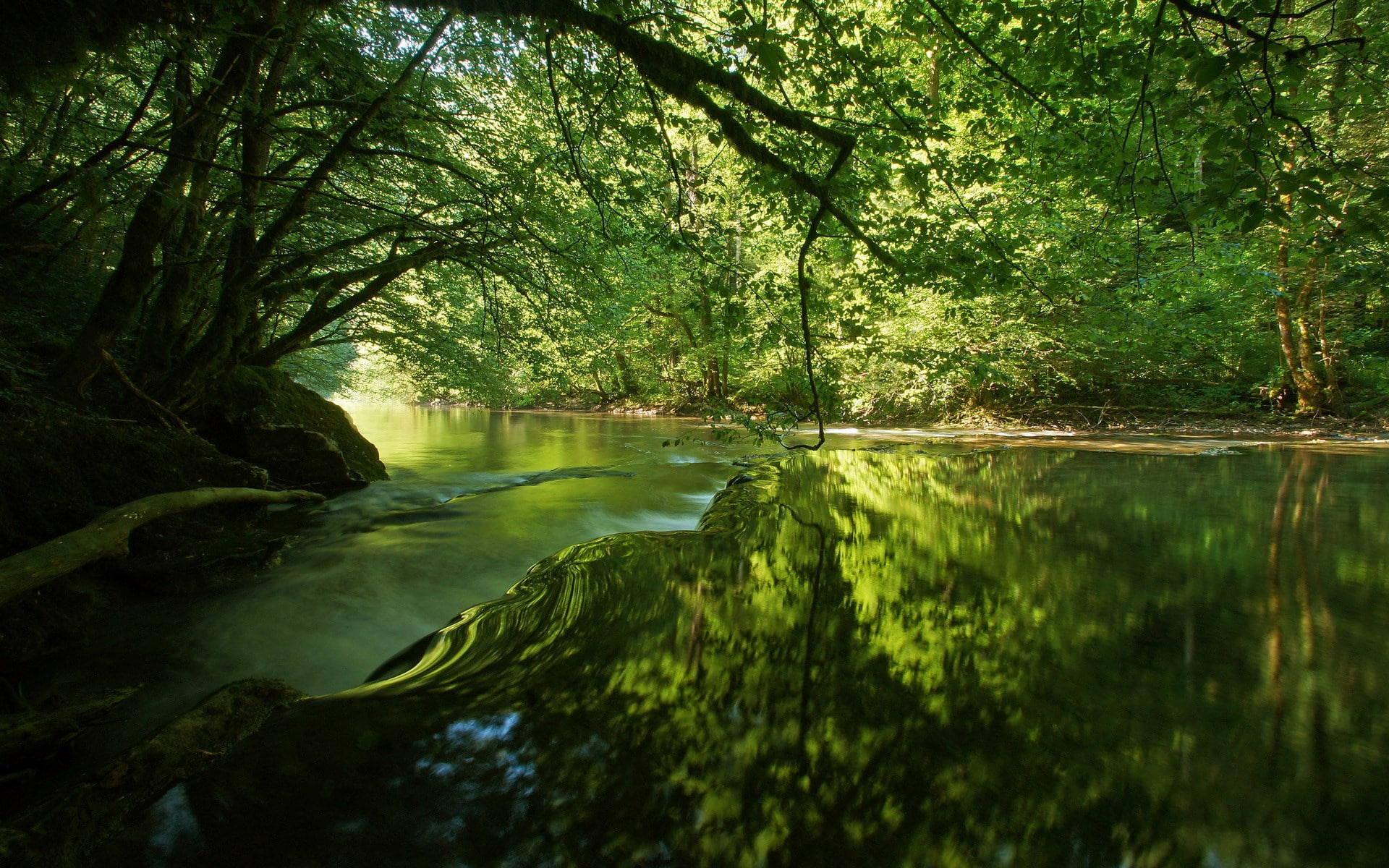 image background nature hd image 1920x1200, 1080P, HD Wallpaper