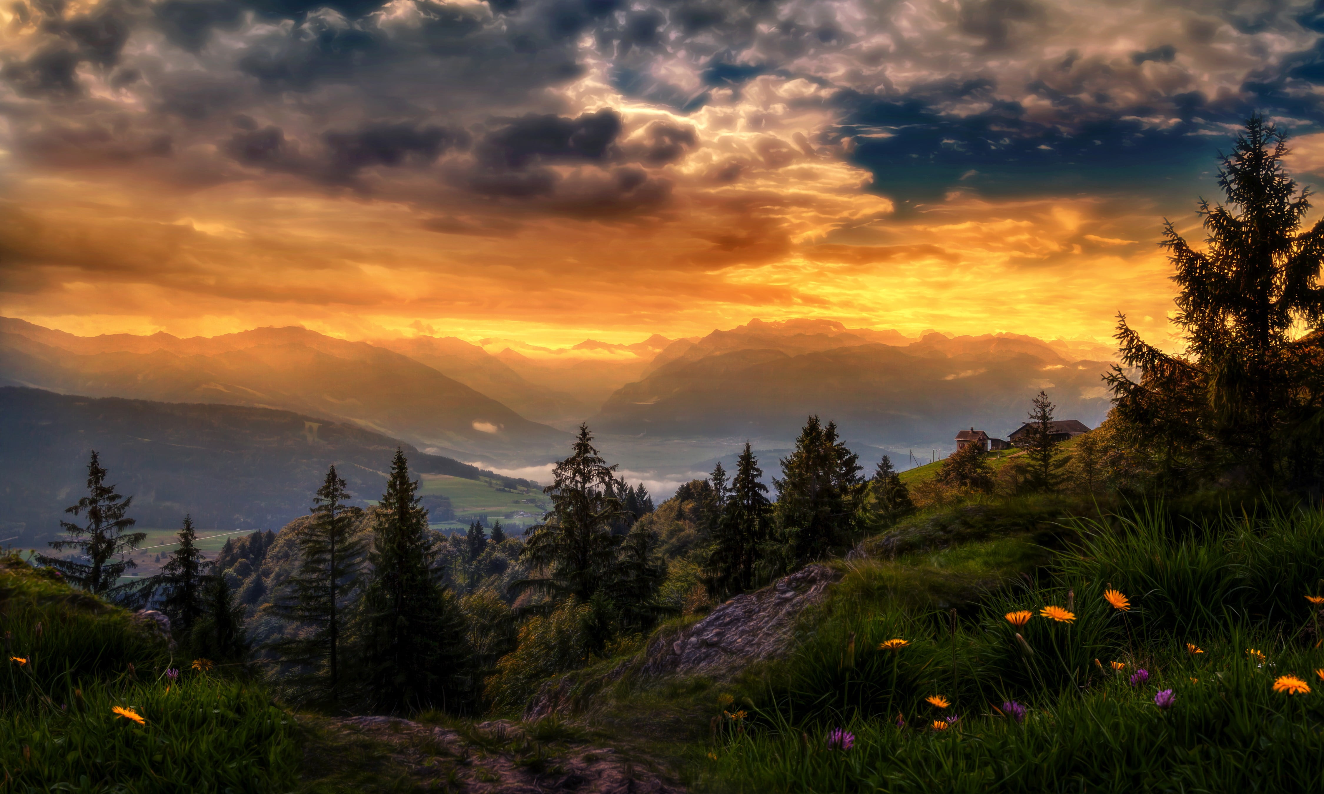 growth, clouds, flower, tranquility, sunlight, mountain peak, environment, land, tranquil scene, tree, flowers, sunset, no people, 4K, petaled, plant, HD Wallpaper