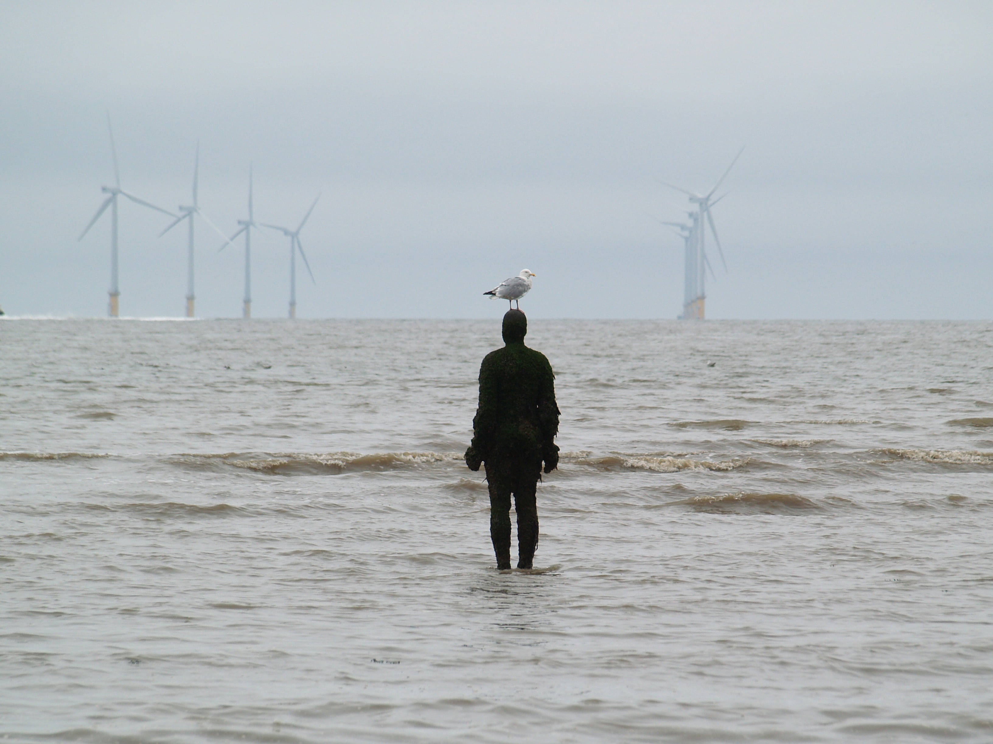 waterfront, wind power, environment, crosby, turbine, anthony, one person, rear view, fuel and power generation, 2K, wind turbine, another place, lifestyles, HD Wallpaper