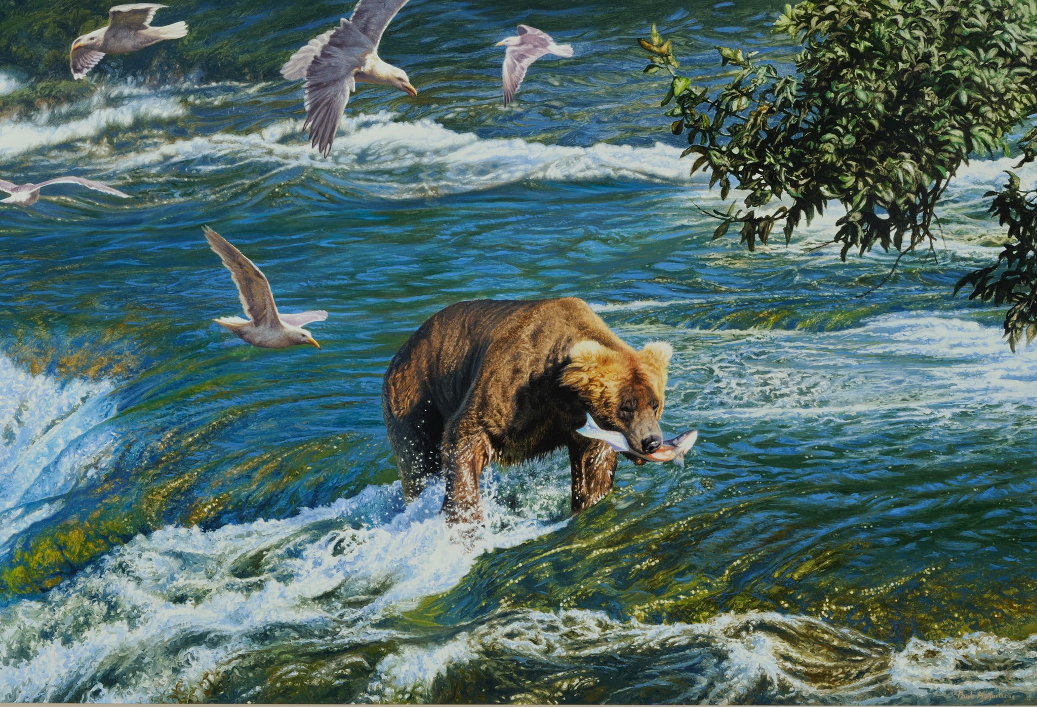 painting, bear, 1080P, river, picture, hunting, seagulls, brown, Birds, sun, HD Wallpaper