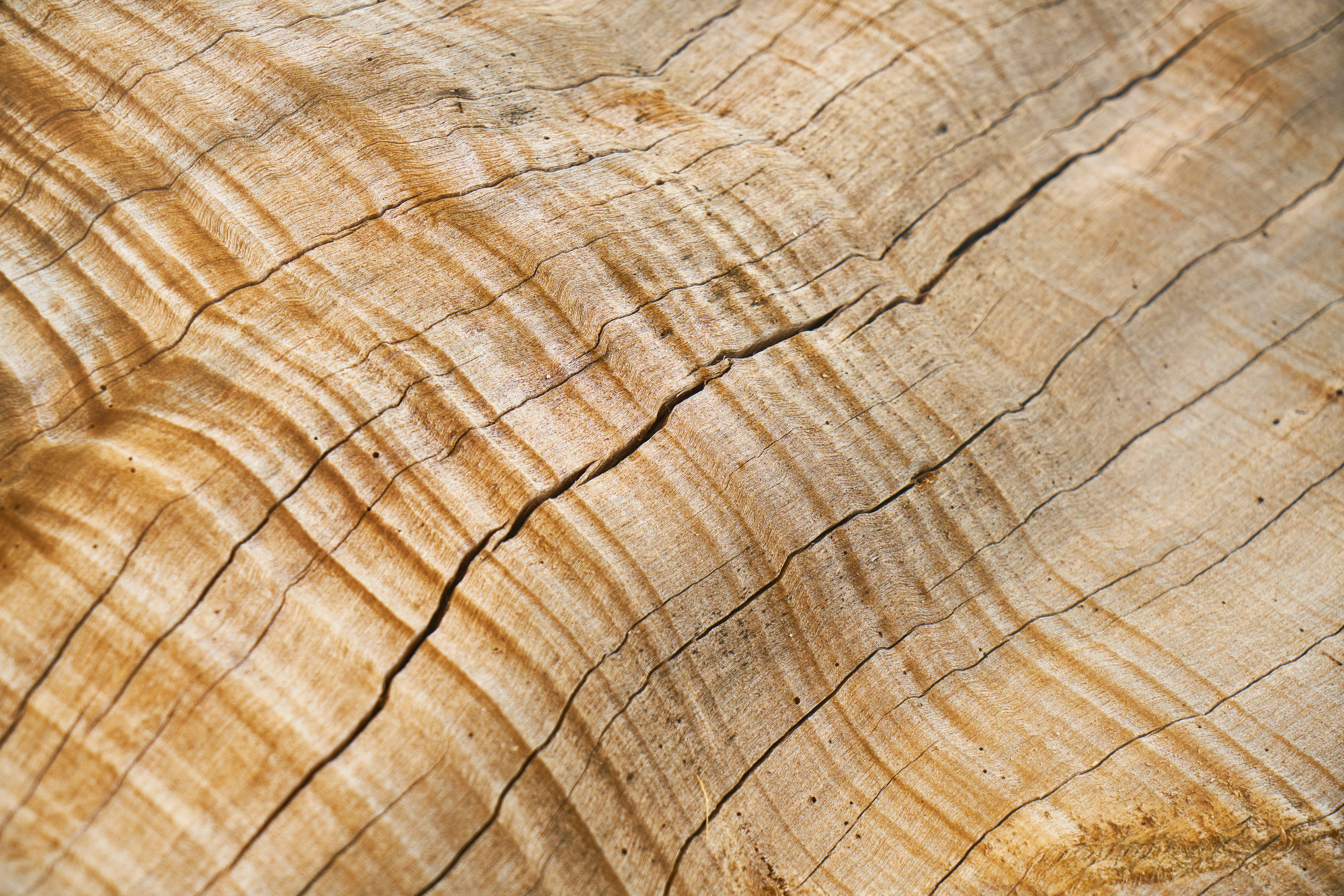timber, texture, tree, decoration, nature, wood, nobody, motif, photography, beige, textured, pattern, table, macro, abstract pattern, flooring, color image, HD Wallpaper