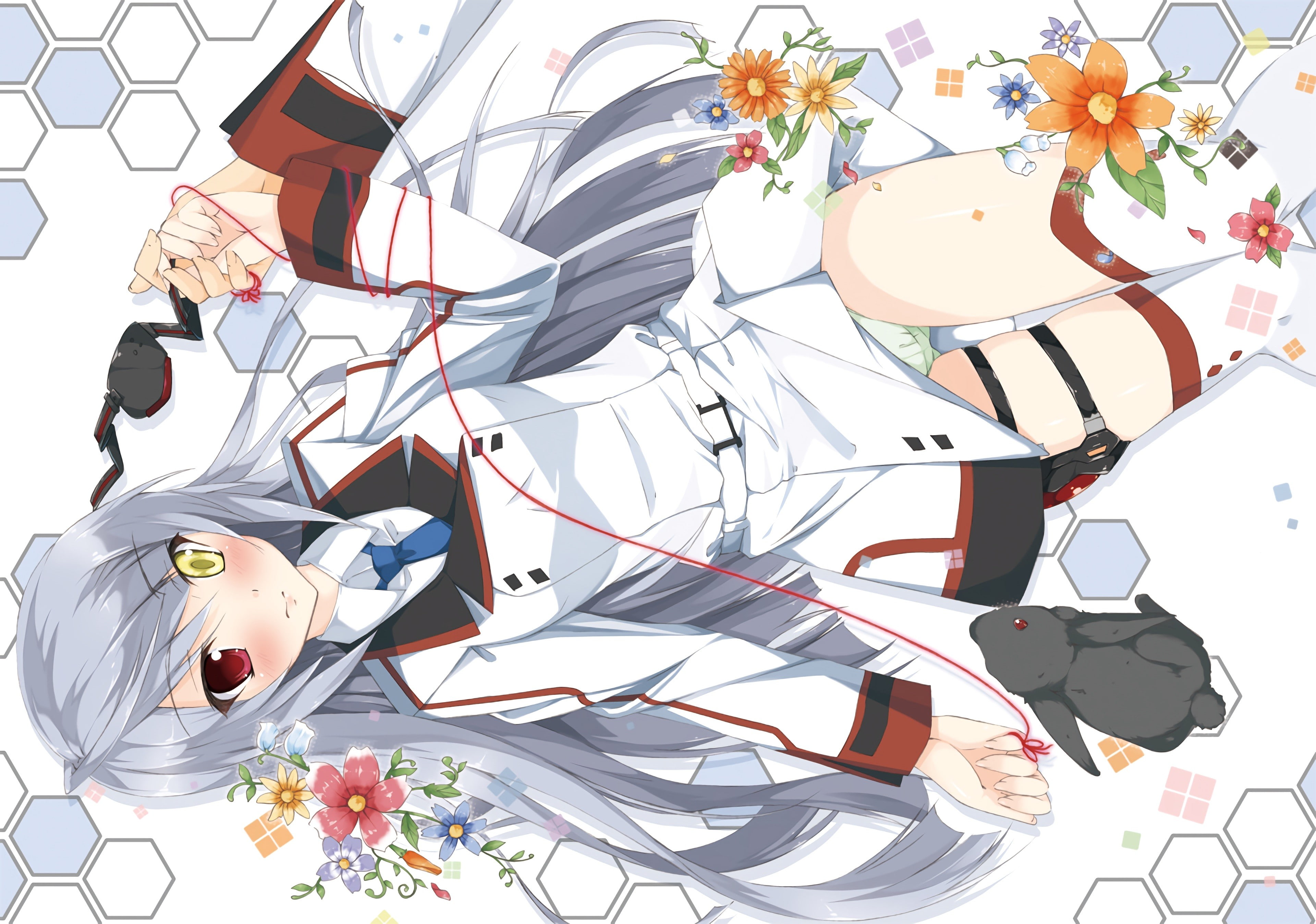 Infinite Stratos, white background, heterochromia, close-up, large group of objects, still life, pattern, no people, flowering plant, art and craft, decoration, HD Wallpaper