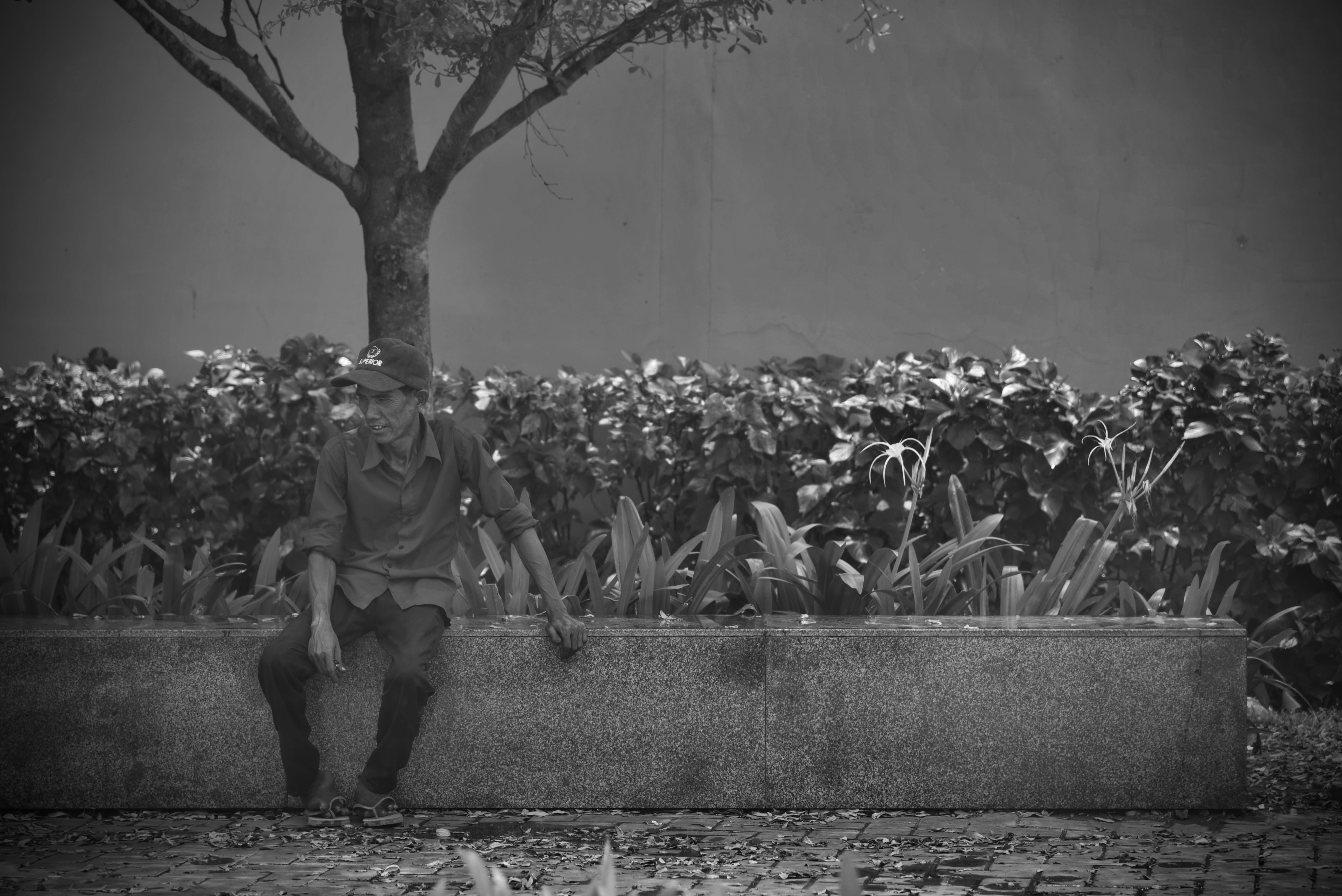 man, sit, growth, cap, representation, street, nature, leisure activity, male, statue, sitting, day, homeless, white, cambodia, outdoors, sculpture, hat, HD Wallpaper