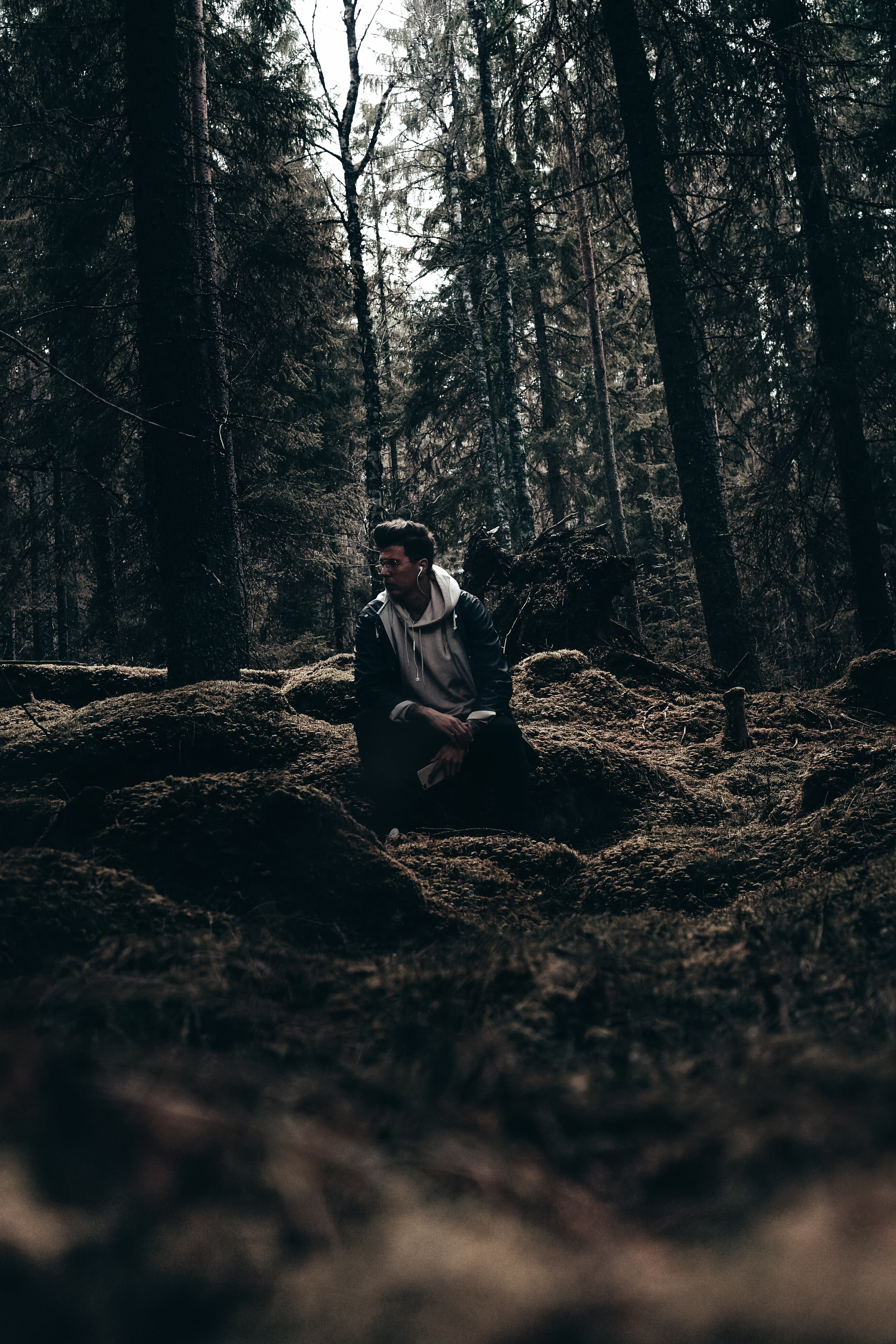 tree trunk, wood, dark, daytime, forest, one person, leisure activity, photography, outdoors, black, tree, tranquility, sitting, day, outdoor, plant, 4K, Phone HD Wallpaper
