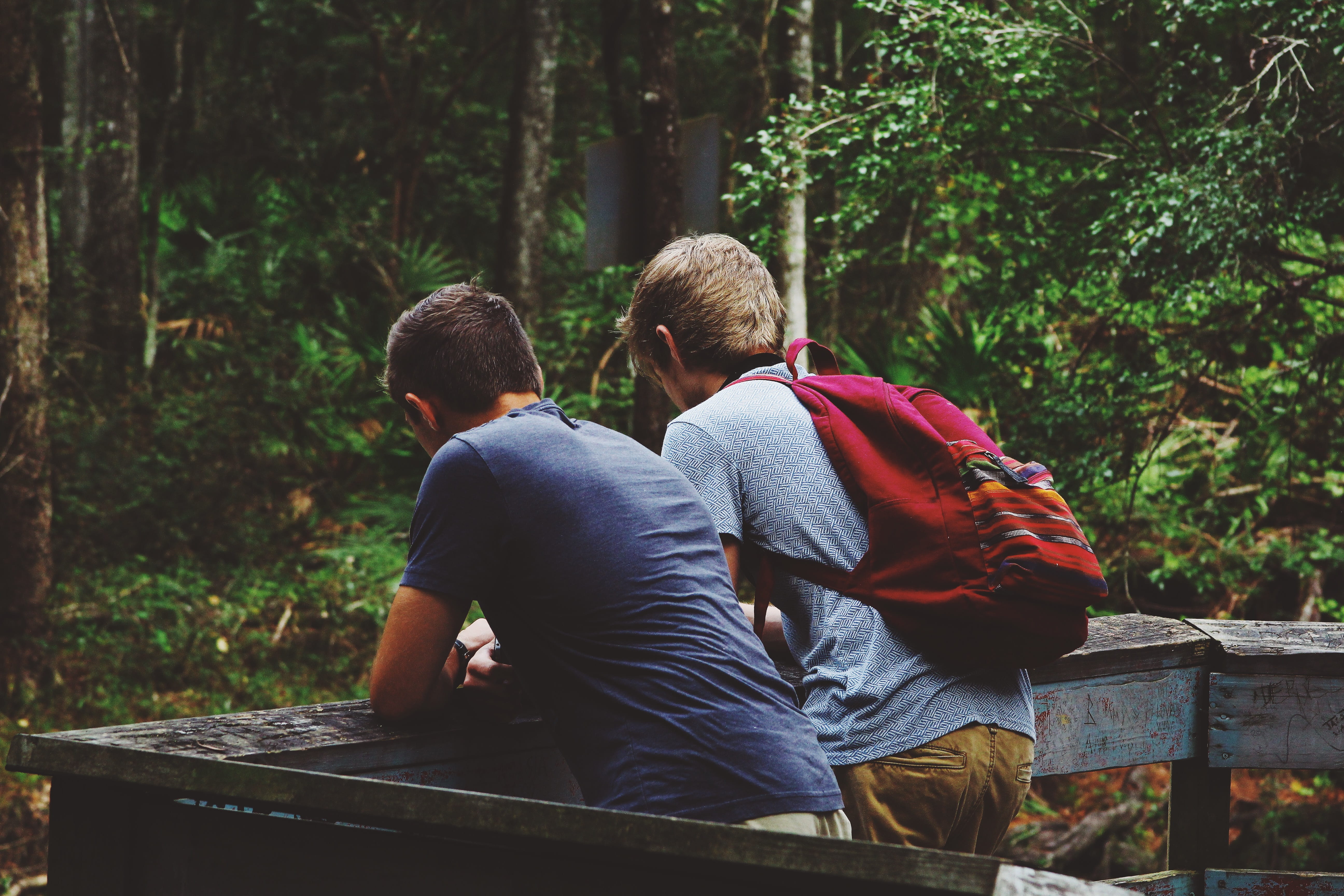 childhood, boys, woodland, friend, love, red, hiking, family, two People, togetherness, person, plant, real people, nature, boy, leaning, males, lifestyles, HD Wallpaper