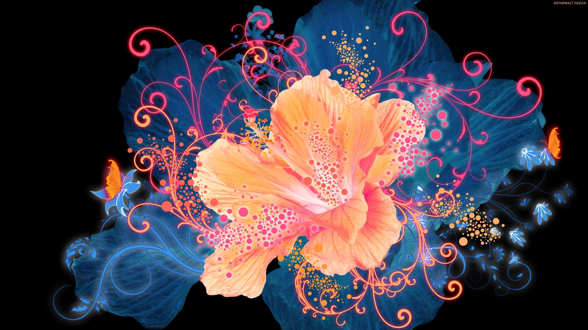 Flowers, 1080P, Vector, Orange, Butterflies, HD Wallpaper