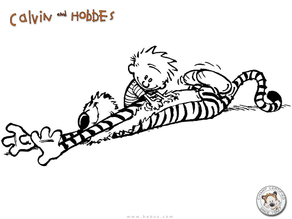 Hobbes (Calvin and Hobbes), drawing - art product, Calvin (Calvin and Hobbes), sketch, text, communication, creativity, hobbes, 480P, no people, pattern, HD Wallpaper