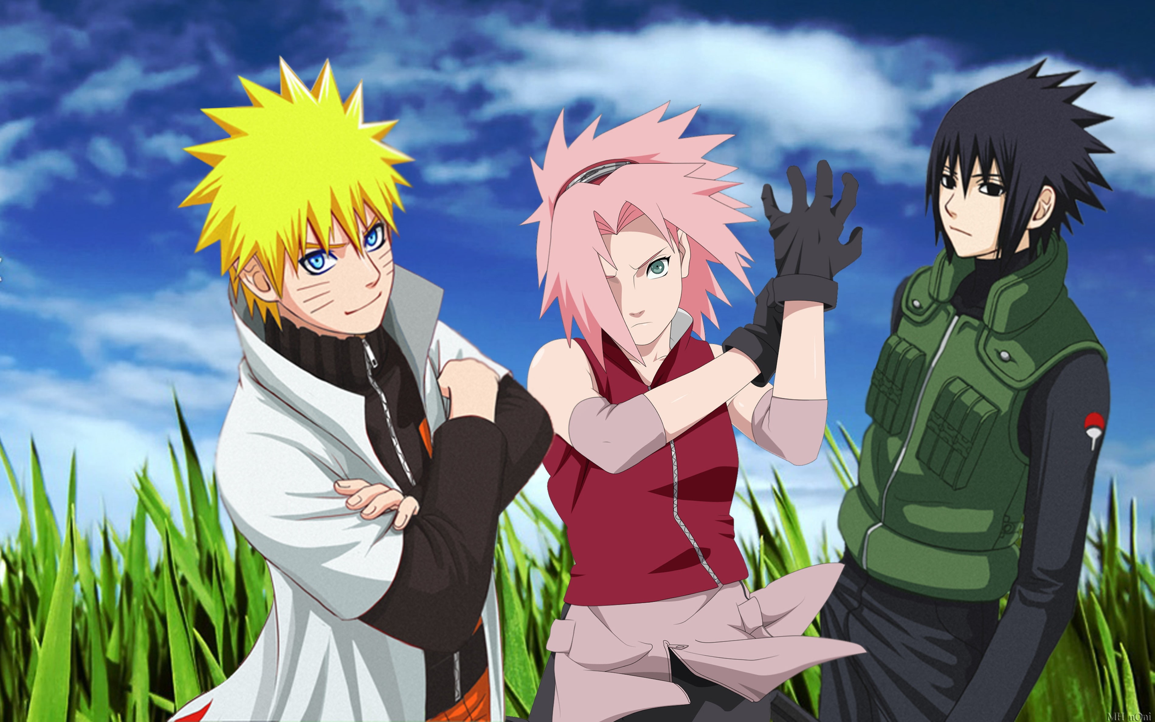 uzumaki, sasuke, hokage, uchiha, haruno, grass, shippuden, naruto, 2K, sakura, HD Wallpaper