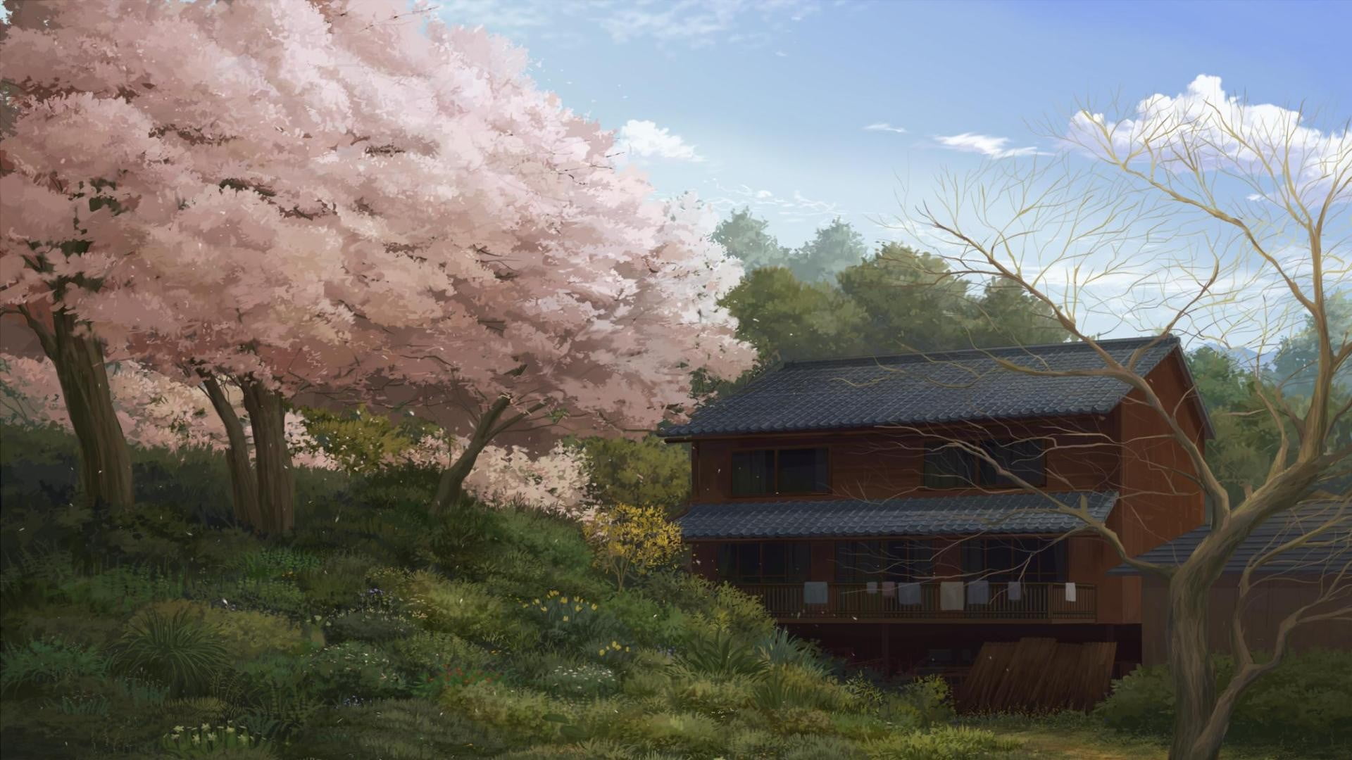 built structure, blossom, drawing, pink, cloud - sky, building, painting, sakura, growth, flowering plant, no people, building exterior, flower, near, sky, HD Wallpaper