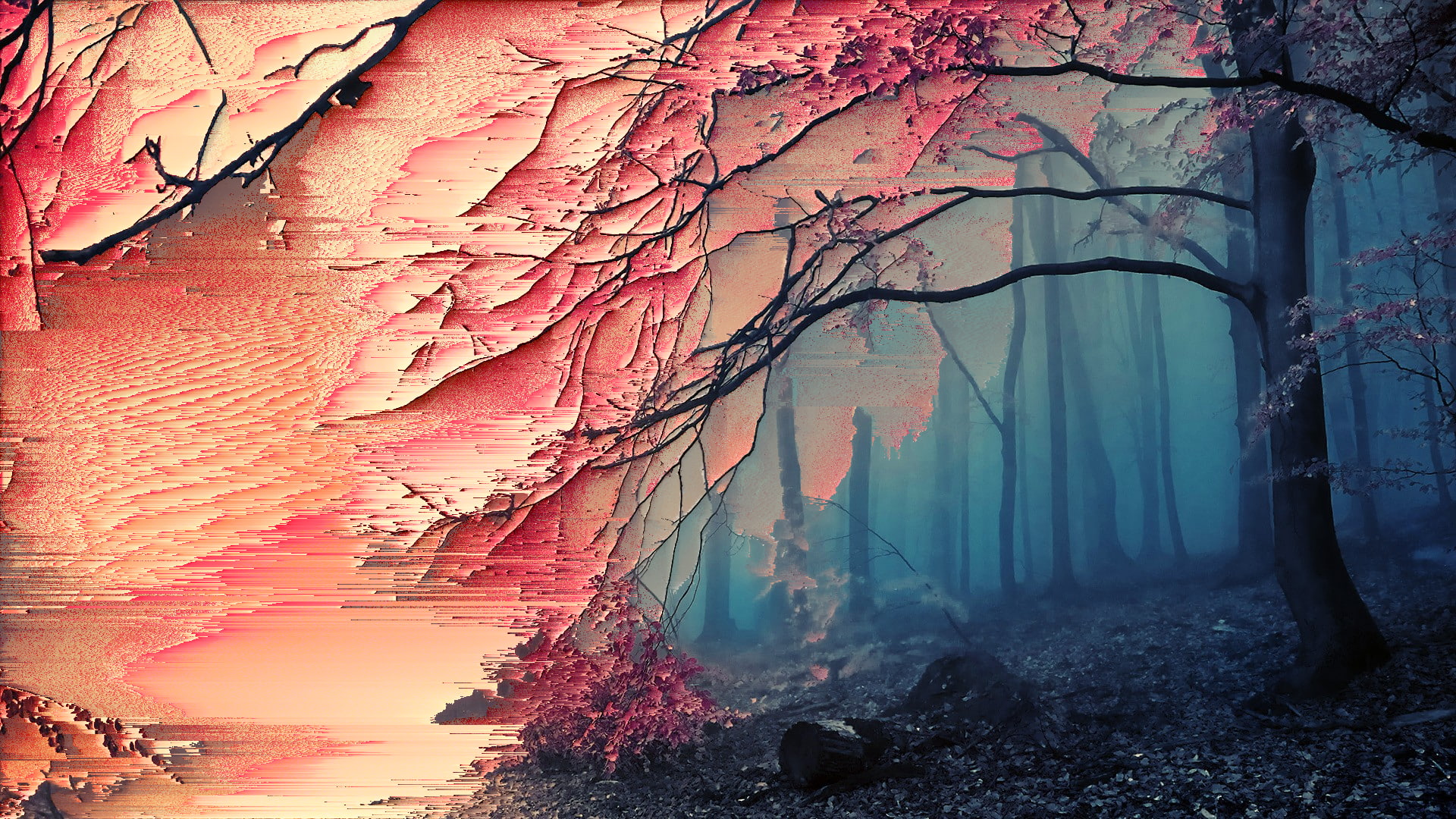 1080P, glitch art, sakura (tree), forest, trees, HD Wallpaper