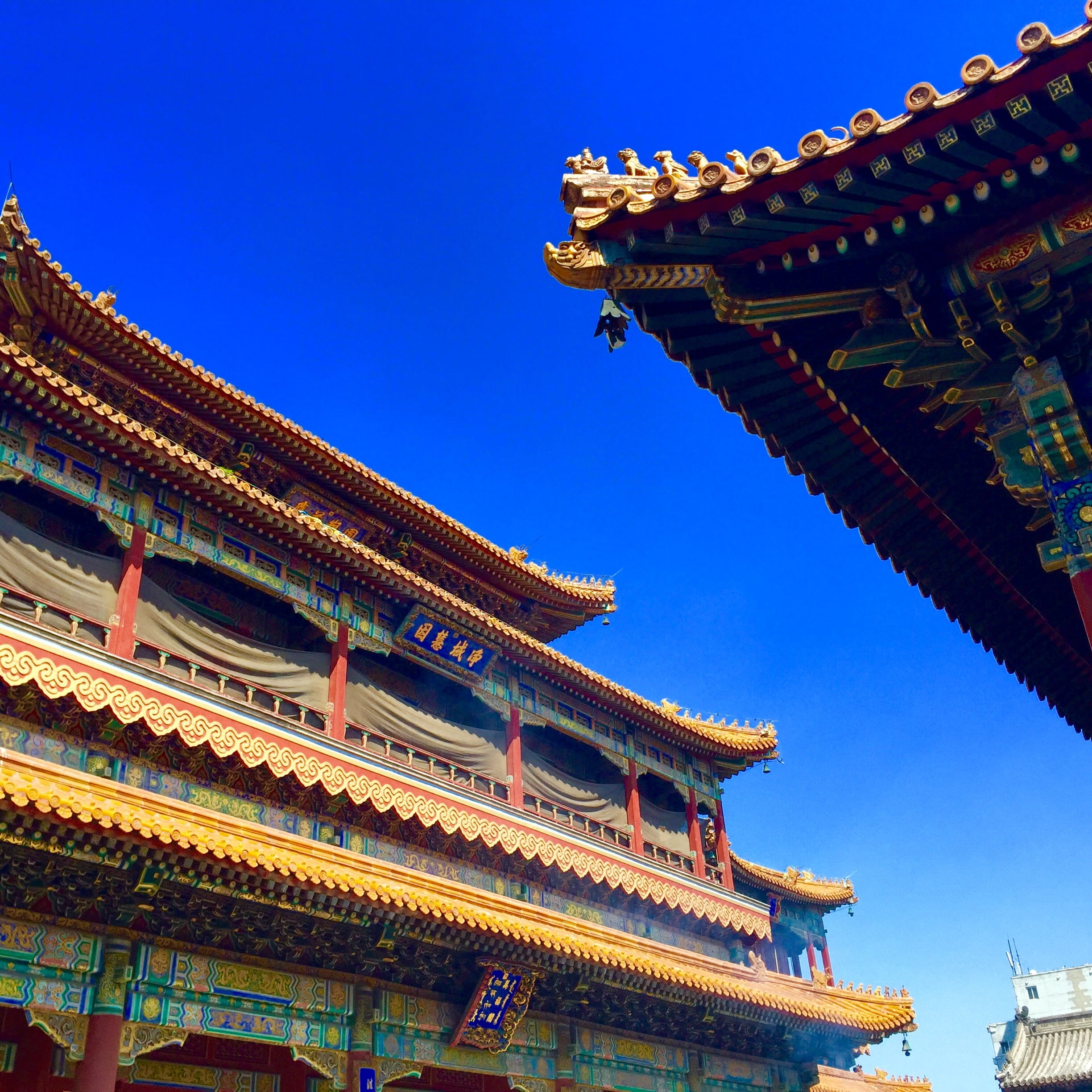beijing, history, nature, roof, building, lama temple, palace, asia, china - East Asia, outdoors, burning incense, the past, belief, low angle view, place of worship, Phone HD Wallpaper