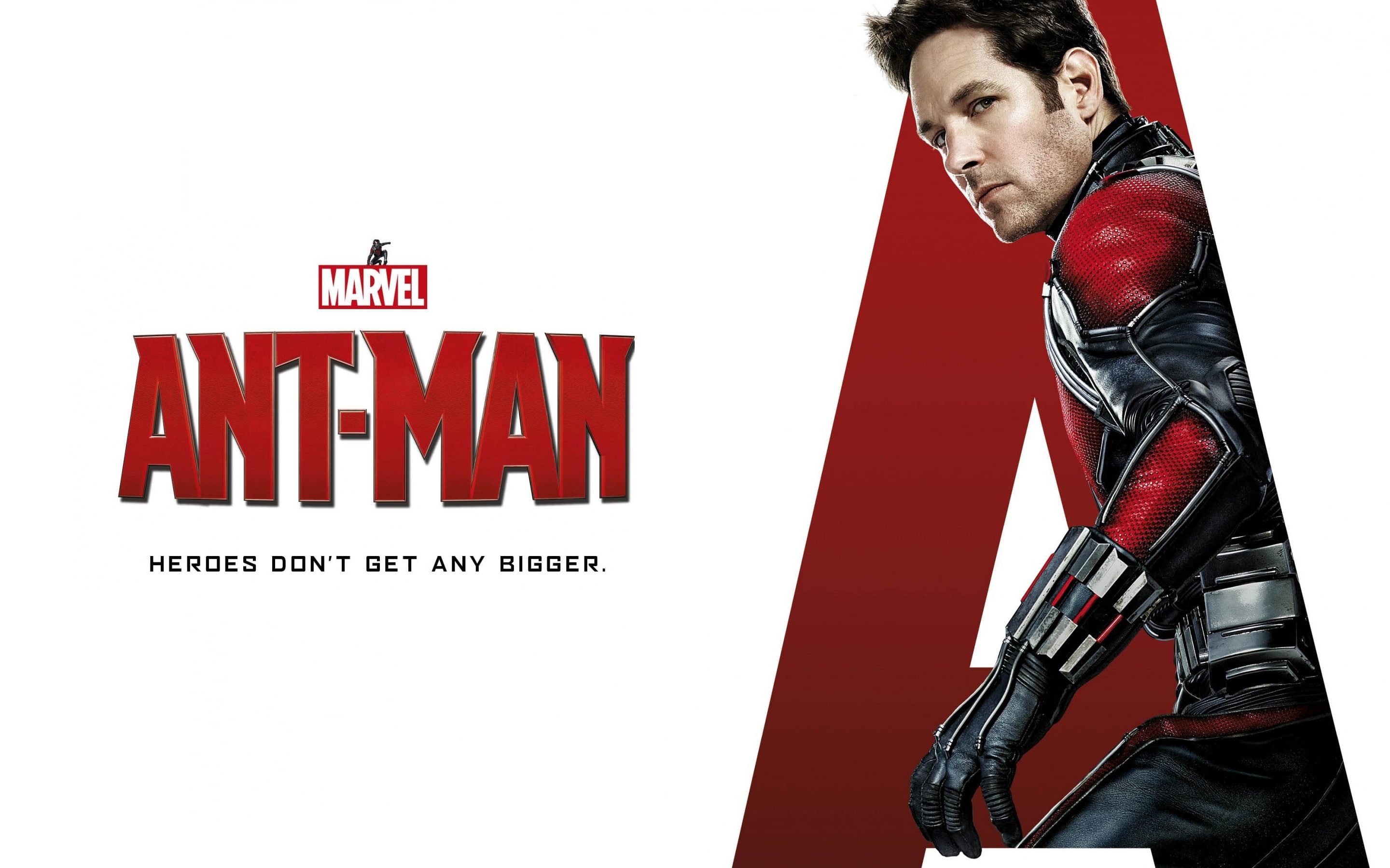 rudd, 2K, paul, man, ant, HD Wallpaper