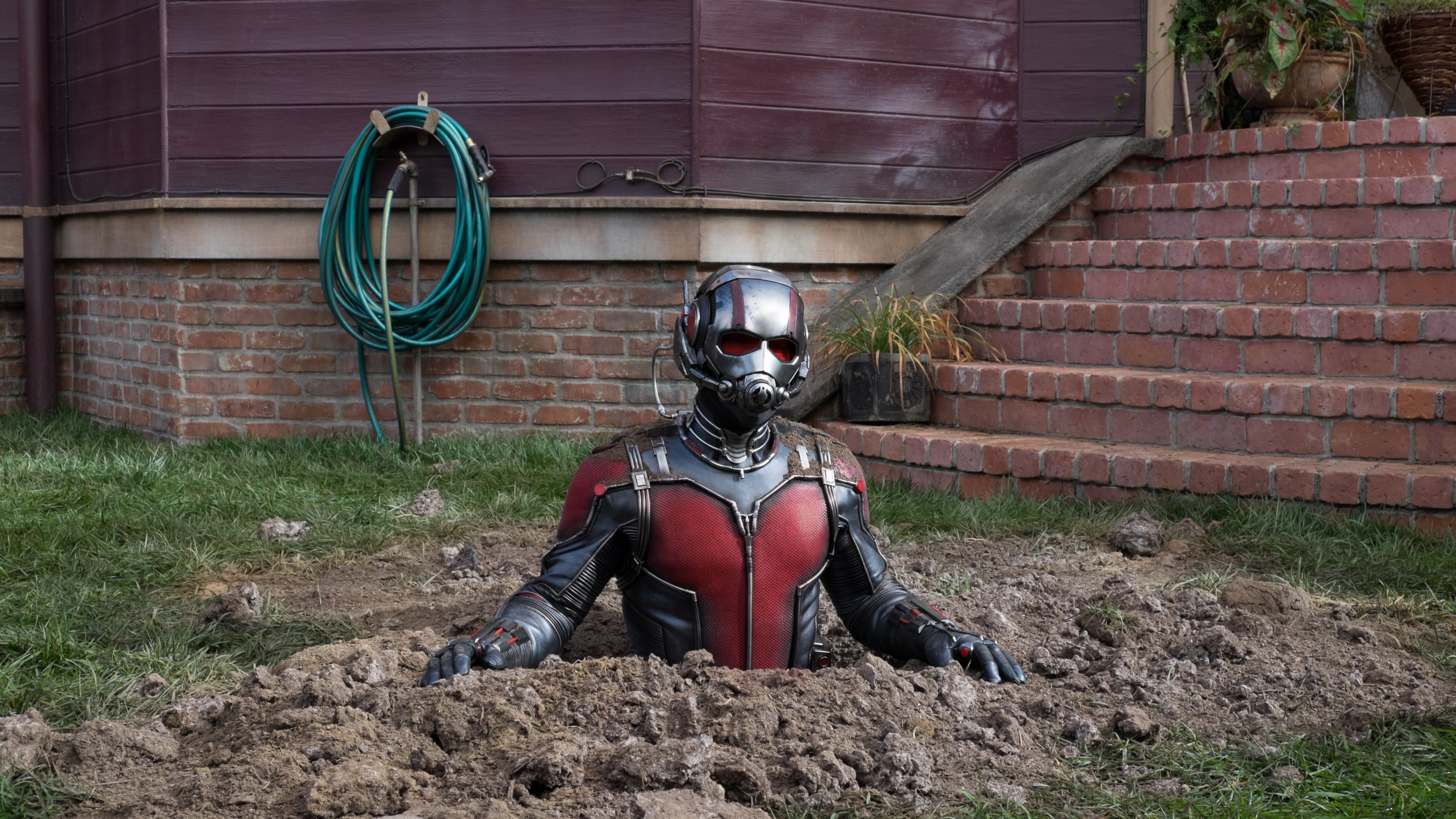 man, ant, Ant-Man and the Wasp, marvel, 4k, Paul Rudd, movie, scene, 4K, HD Wallpaper