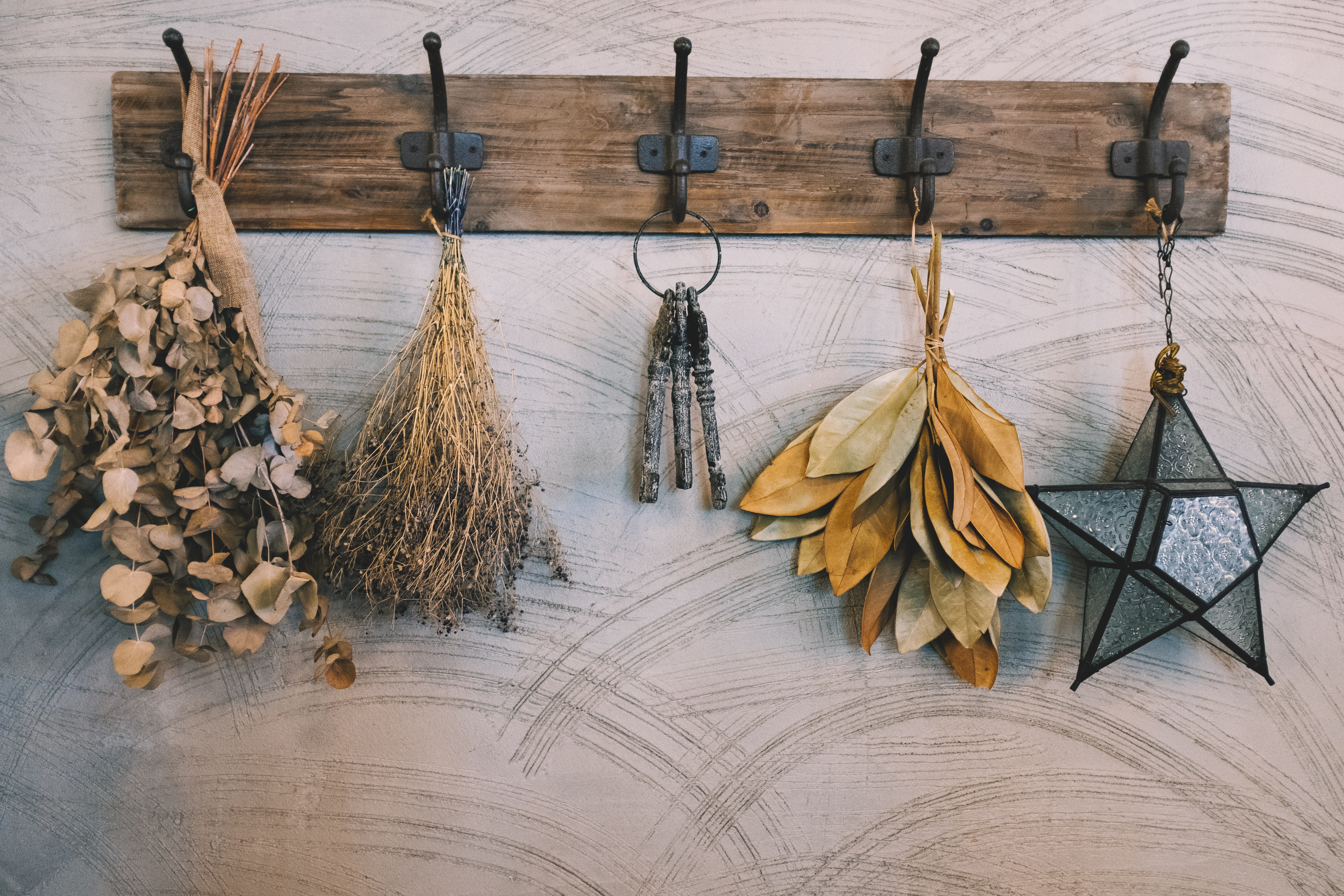 tree, broom, claw, symbol, wall - building feature, barbed wire, hooks, food, day, wood, nature, choice, food and drink, brown, drying rack, coat rack, HD Wallpaper