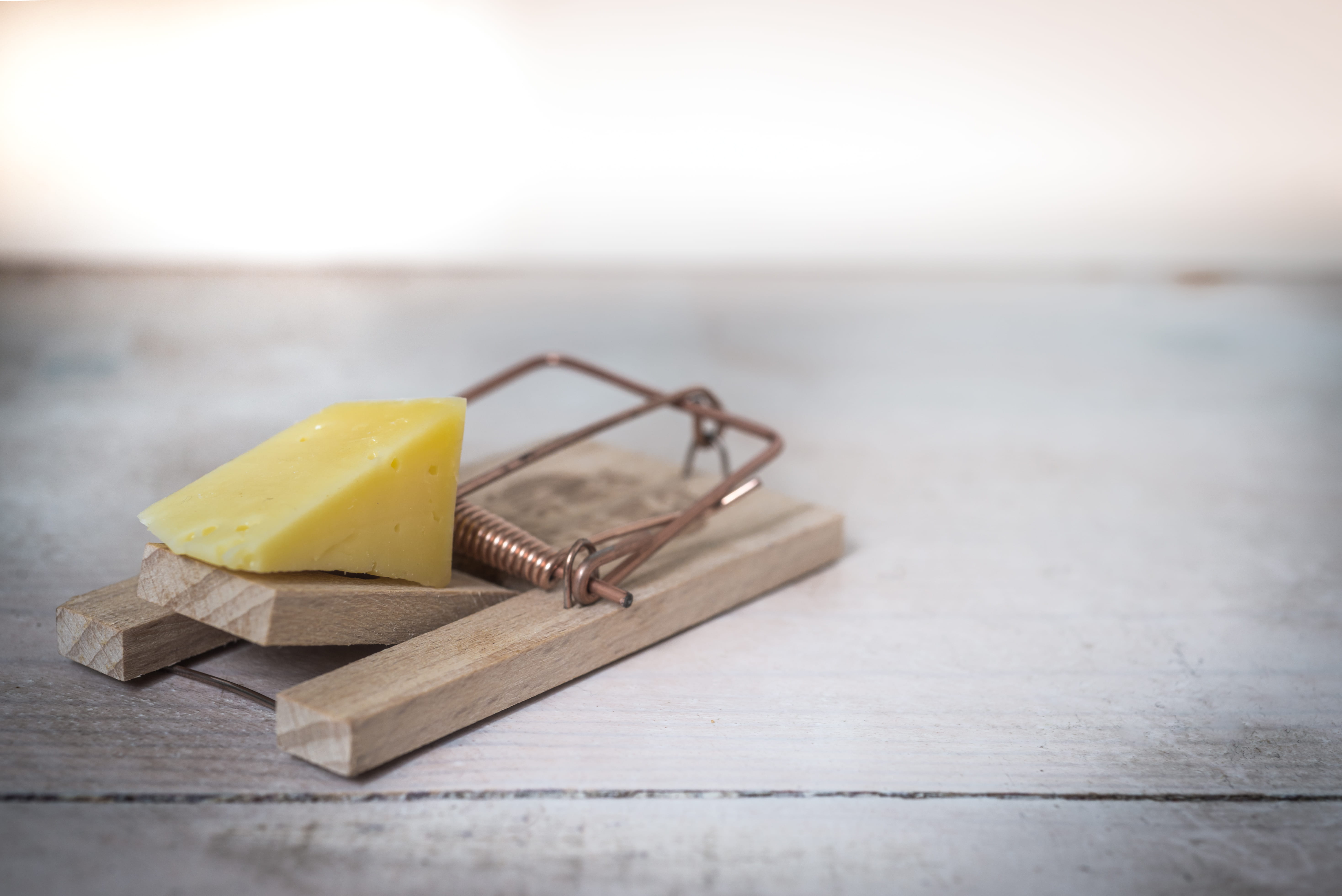 dangerous, wood, wooden, table, selective focus, catch, device, extermination, sea, trap, freshness, metal, still life, exterminate, mouse trap, water, HD Wallpaper
