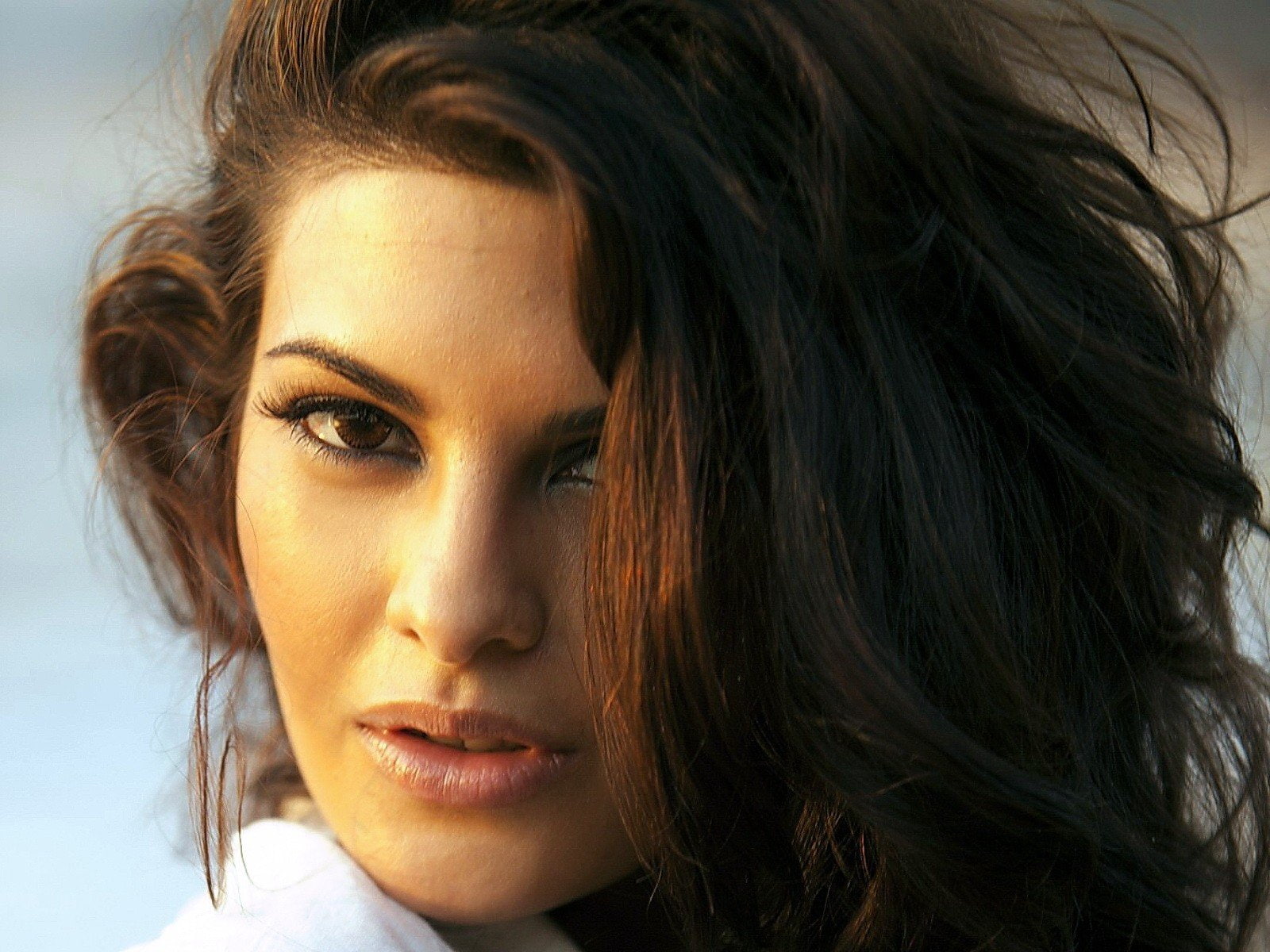 fernandes, bollywood, 720P, indian, babe, actress, film, model, jacqueline, HD Wallpaper