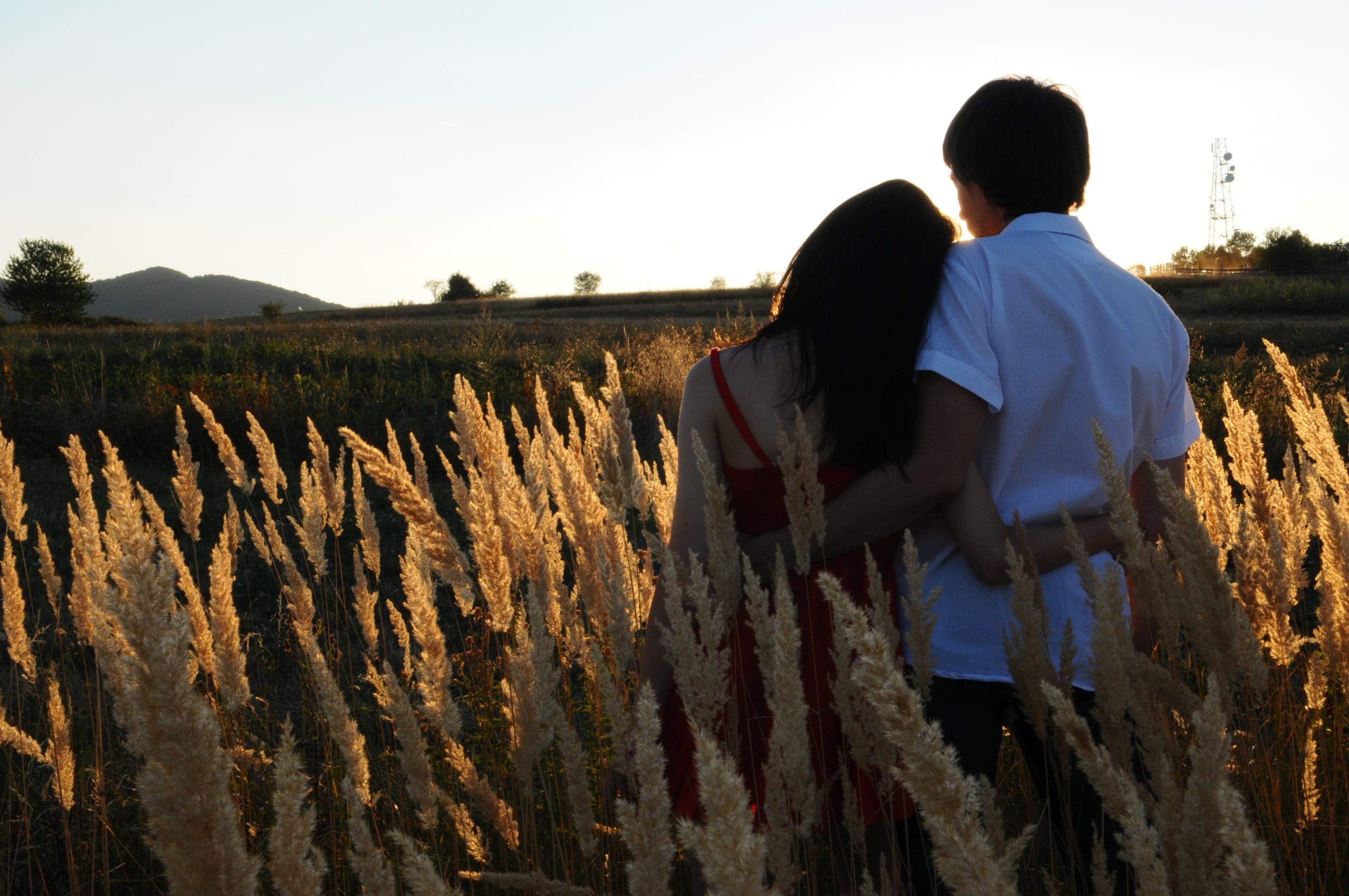 plant, together, people, spaghetti, happy couples, beside, leisure activity, romantic, field, happiness, strap, couple in love, standing, photo, female, HD Wallpaper