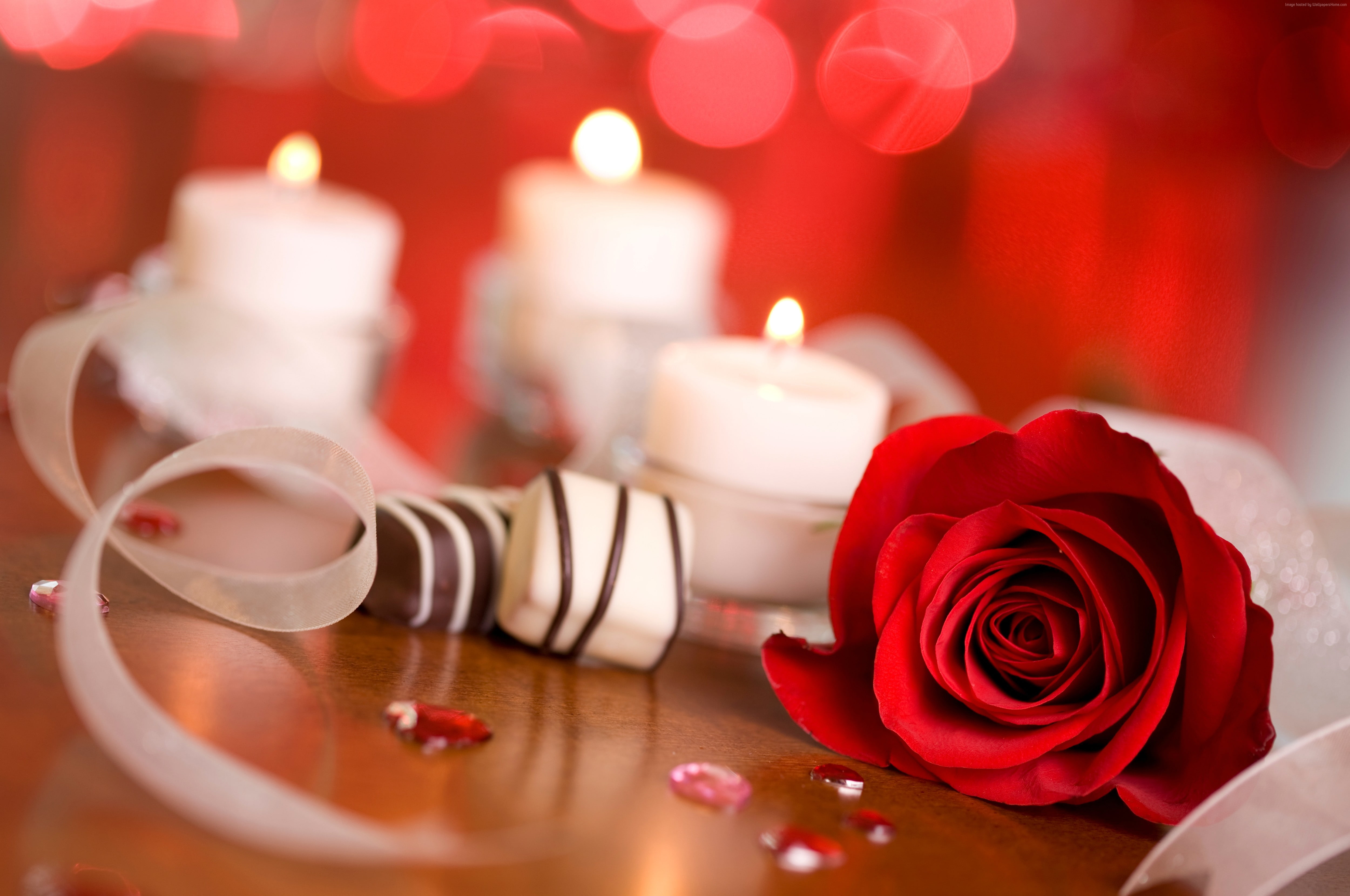 romantic, ribbon, rose, 4K, Valentines Day, love, candle, HD Wallpaper