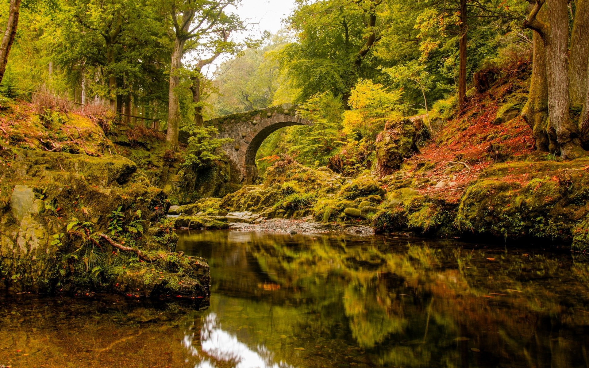 1080P, pc backgrounds hd nature  1920x1200, HD Wallpaper