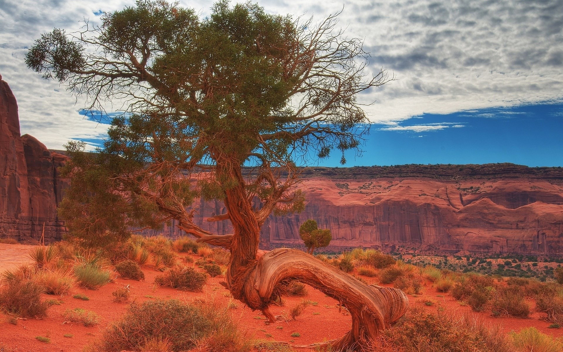 pc backgrounds hd nature  1920x1200, 1080P, HD Wallpaper