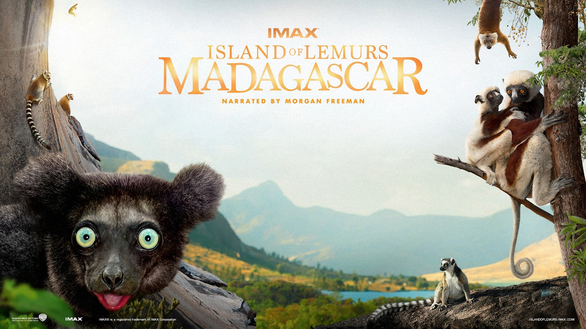 island of lemurs madagascar, information, domestic animals, script, mammal, day, non-western script, mountain, animal, no people, capital letter, information sign, HD Wallpaper