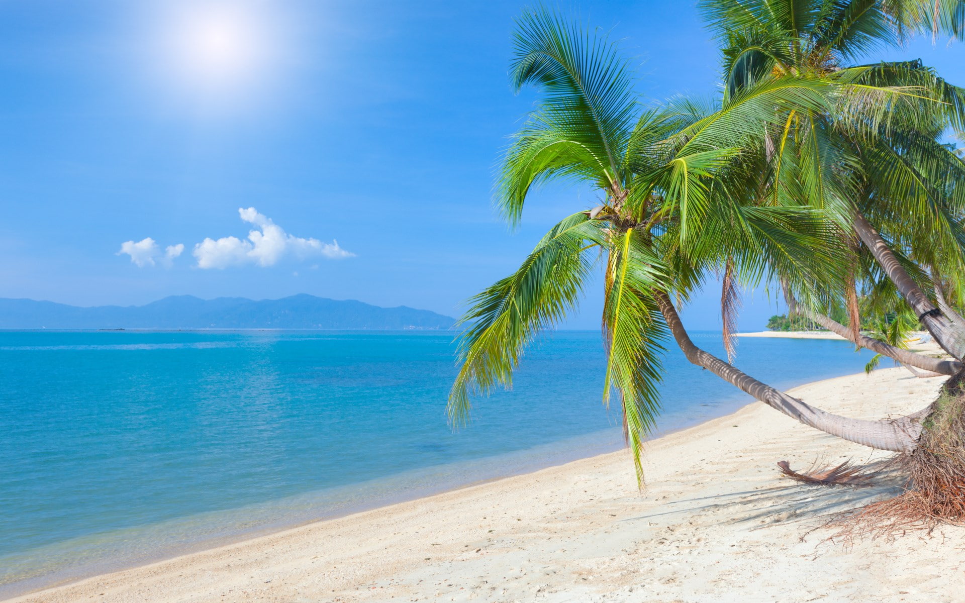 computer  desktop background hd nature  1920x1200, 1080P, HD Wallpaper