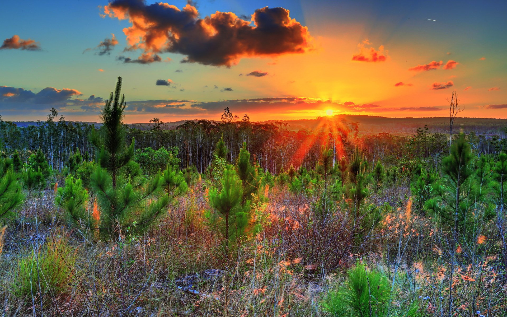 1080P, computer  desktop background hd nature images 1920x1200, HD Wallpaper